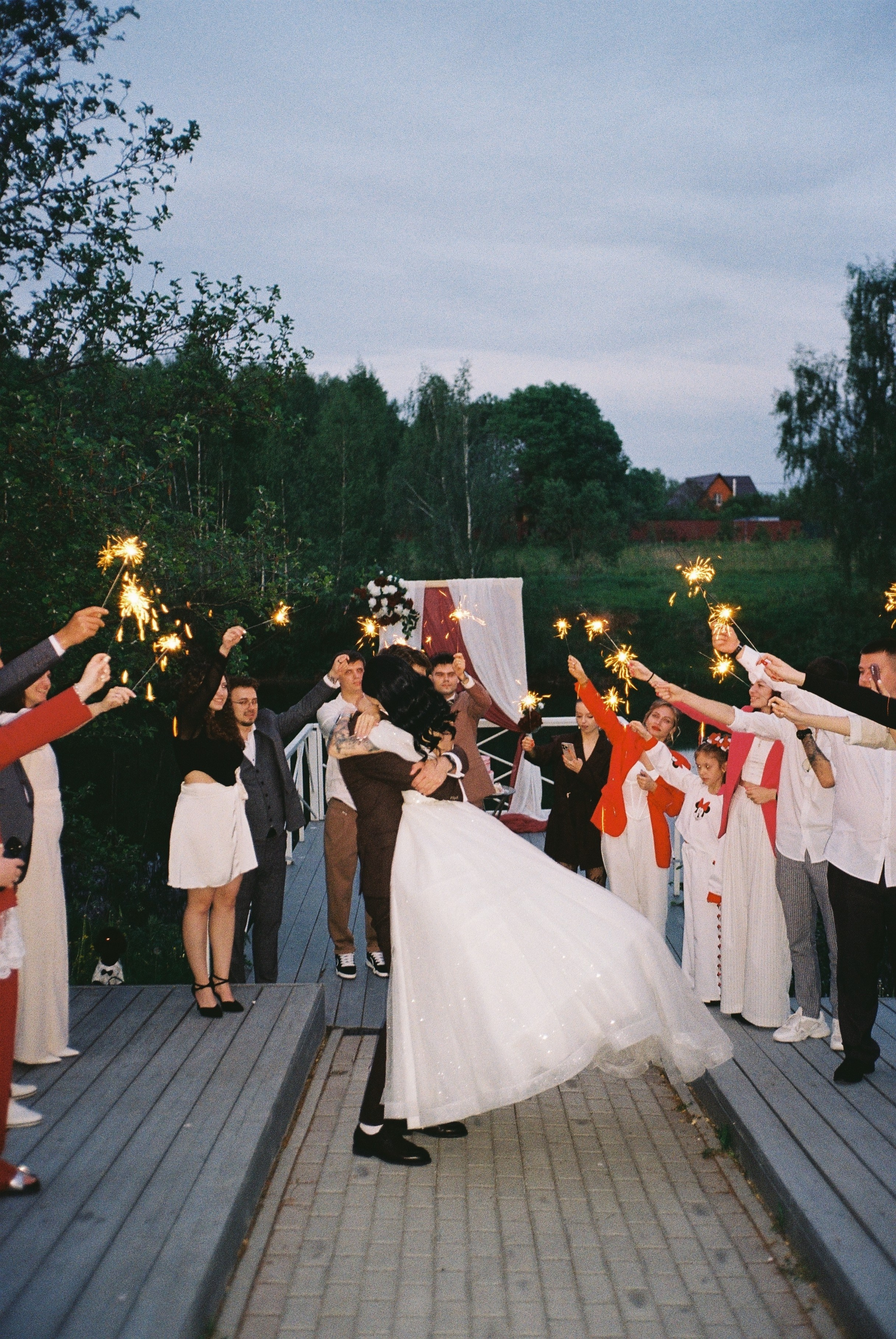 Dog Friendly. Свадебный и репортажный фотограф