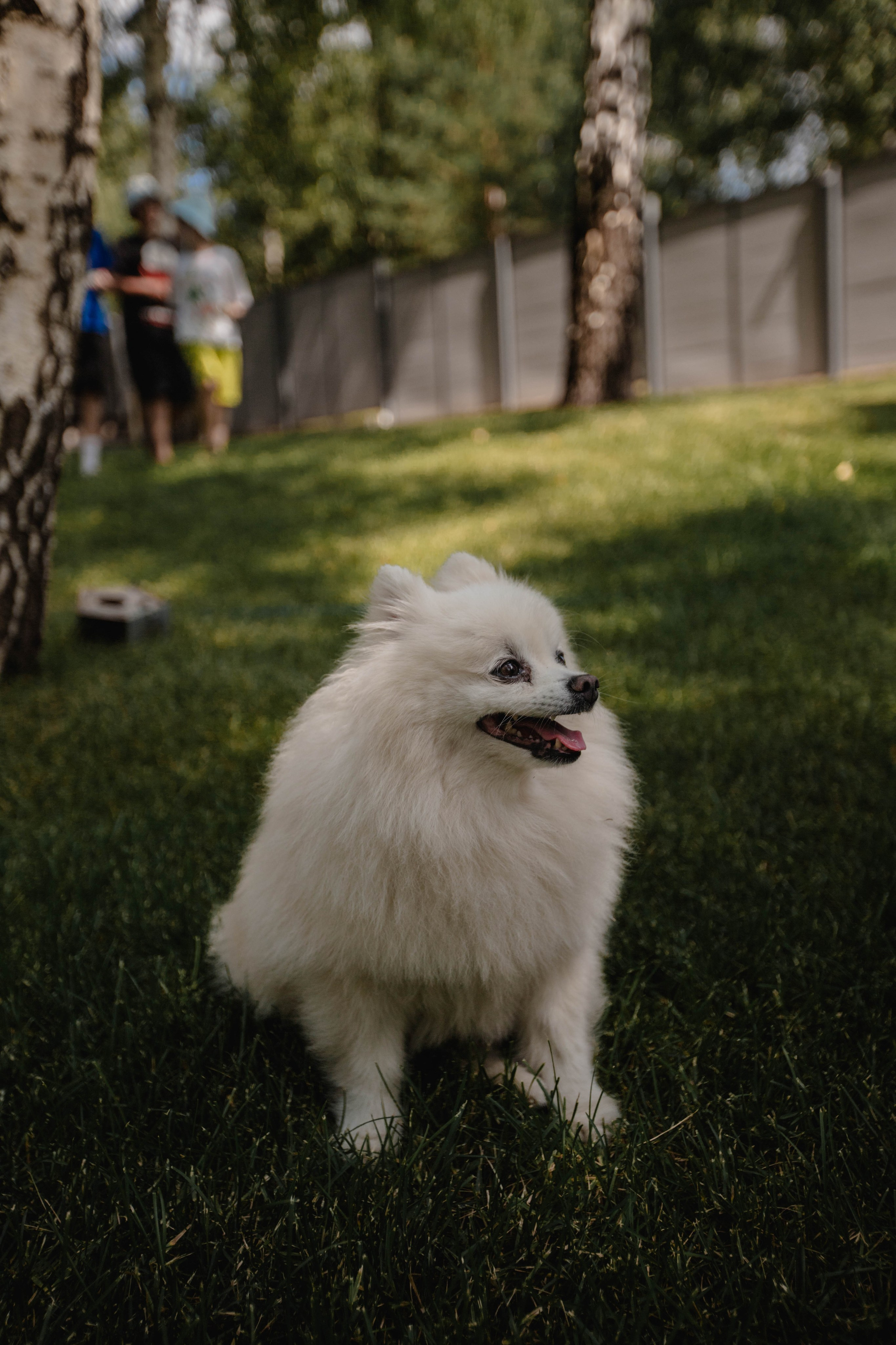 День Рождения :)