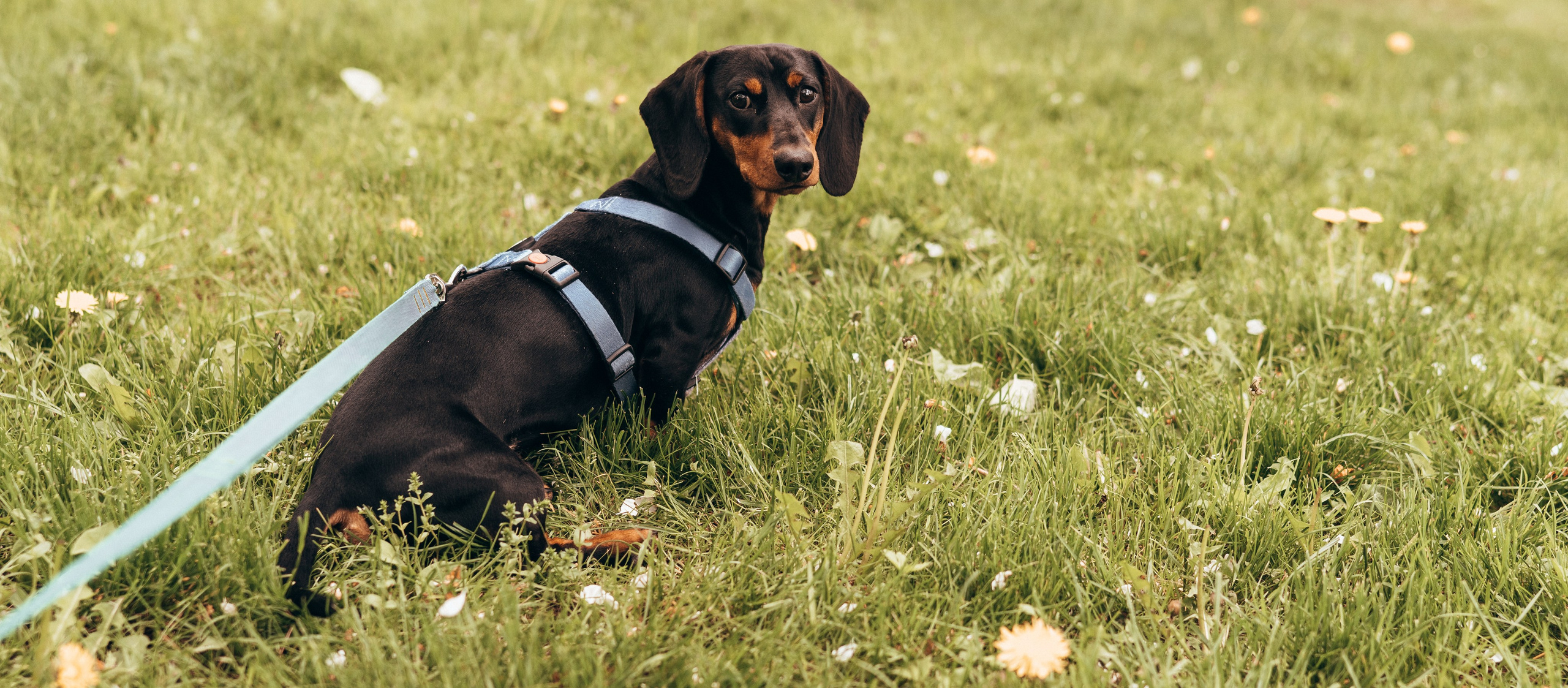 Беременная история в Коломенском. Семейный, ньюборн фотограф, фотограф на роды в Москве, Виктория Тюльдюкова
