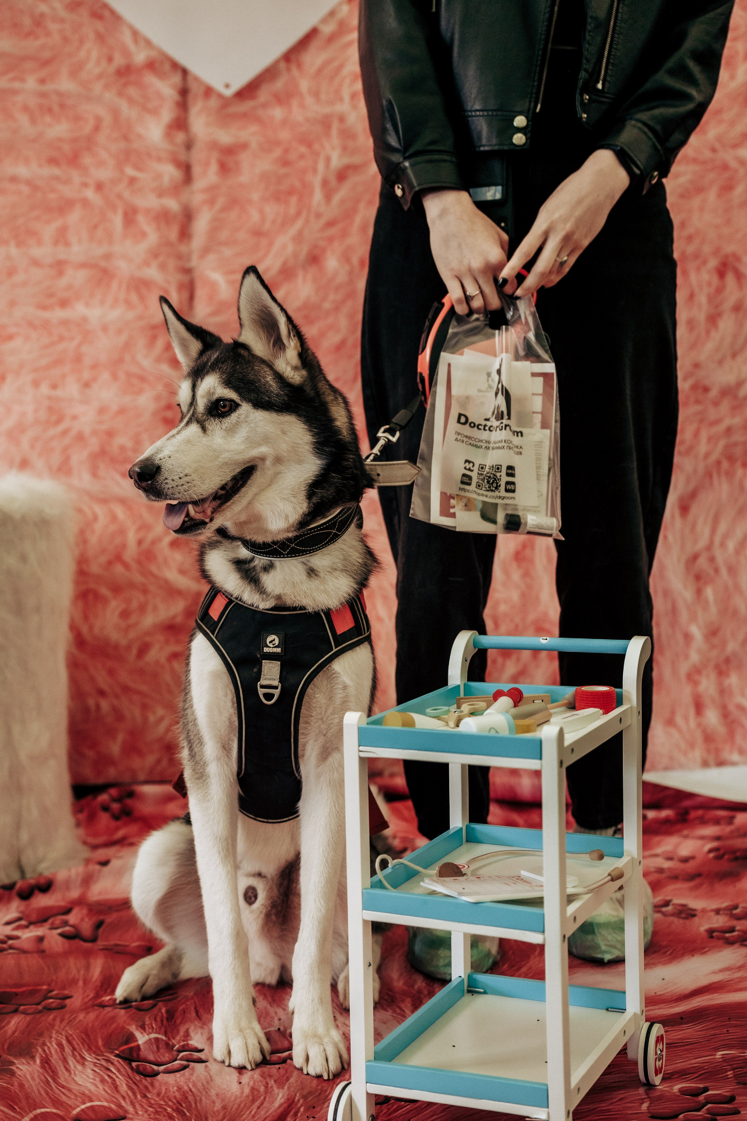 Репортажная фотосессия «День питомца-донора». Профессиональный фотограф в Санкт-Петербурге Александр Волосенцев