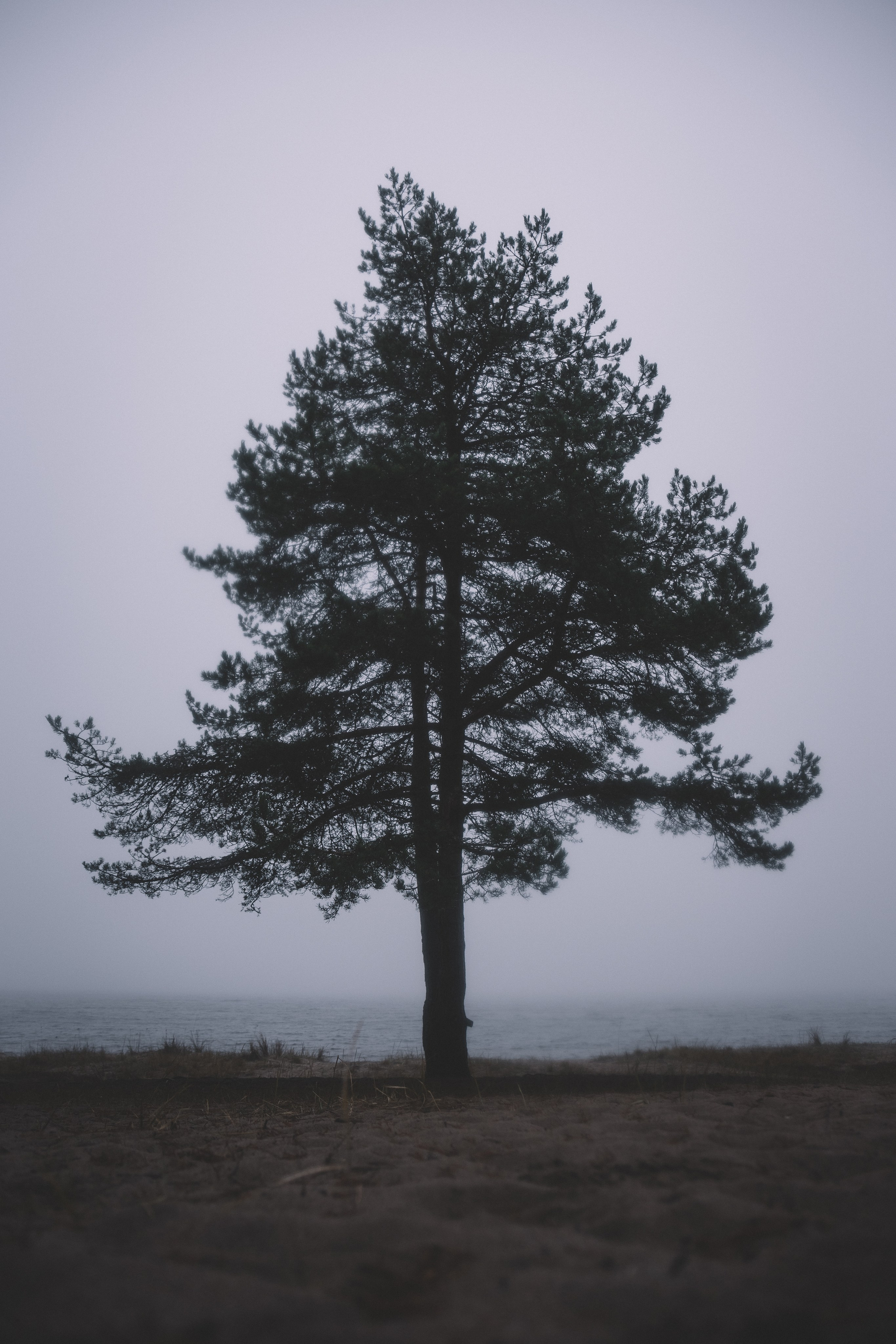 Фотосессия для музыкантов в СПб. Профессиональный фотограф в Санкт-Петербурге Александр Волосенцев