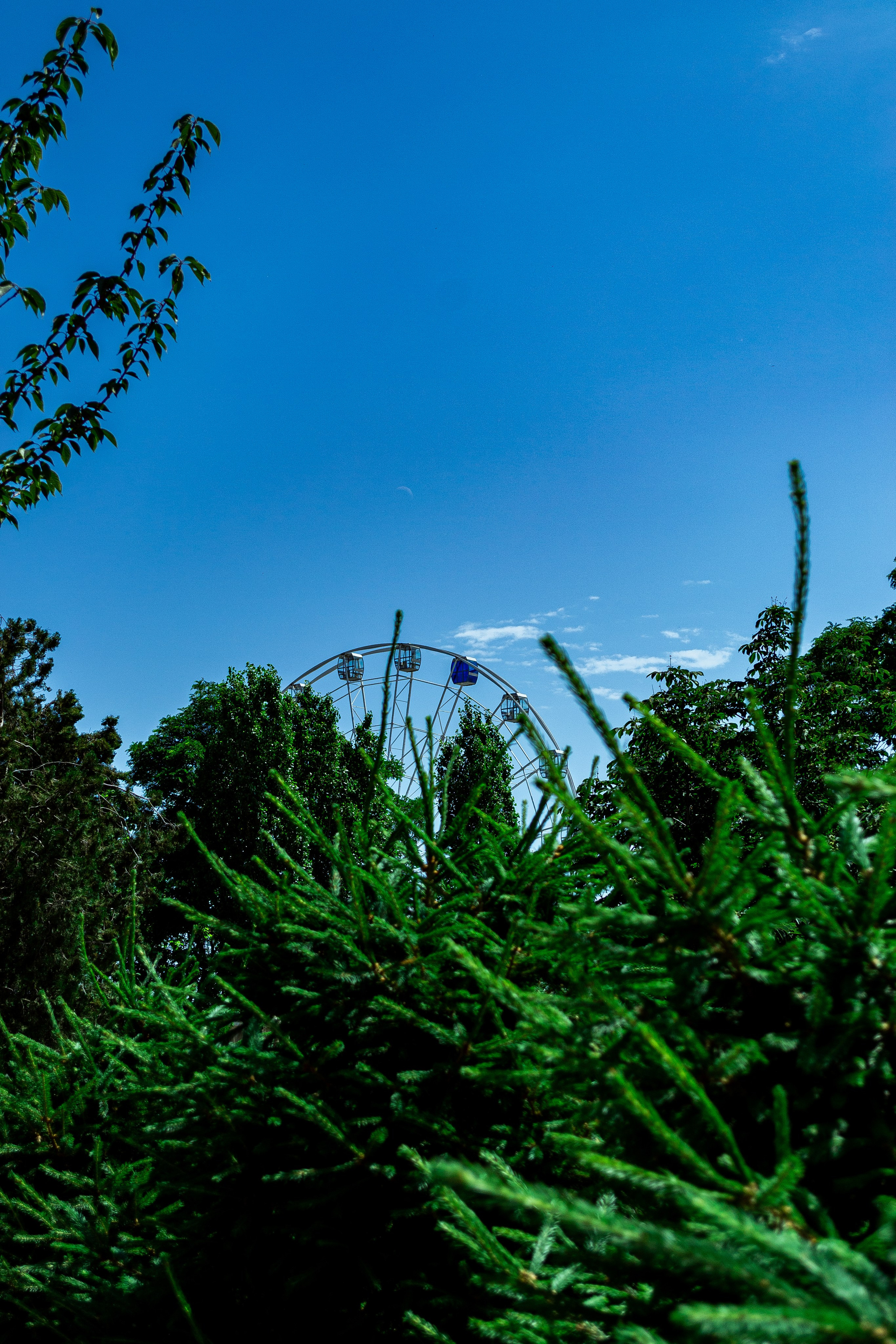 Просто фото. Фотограф в Волгограде (Волжском) Андрей