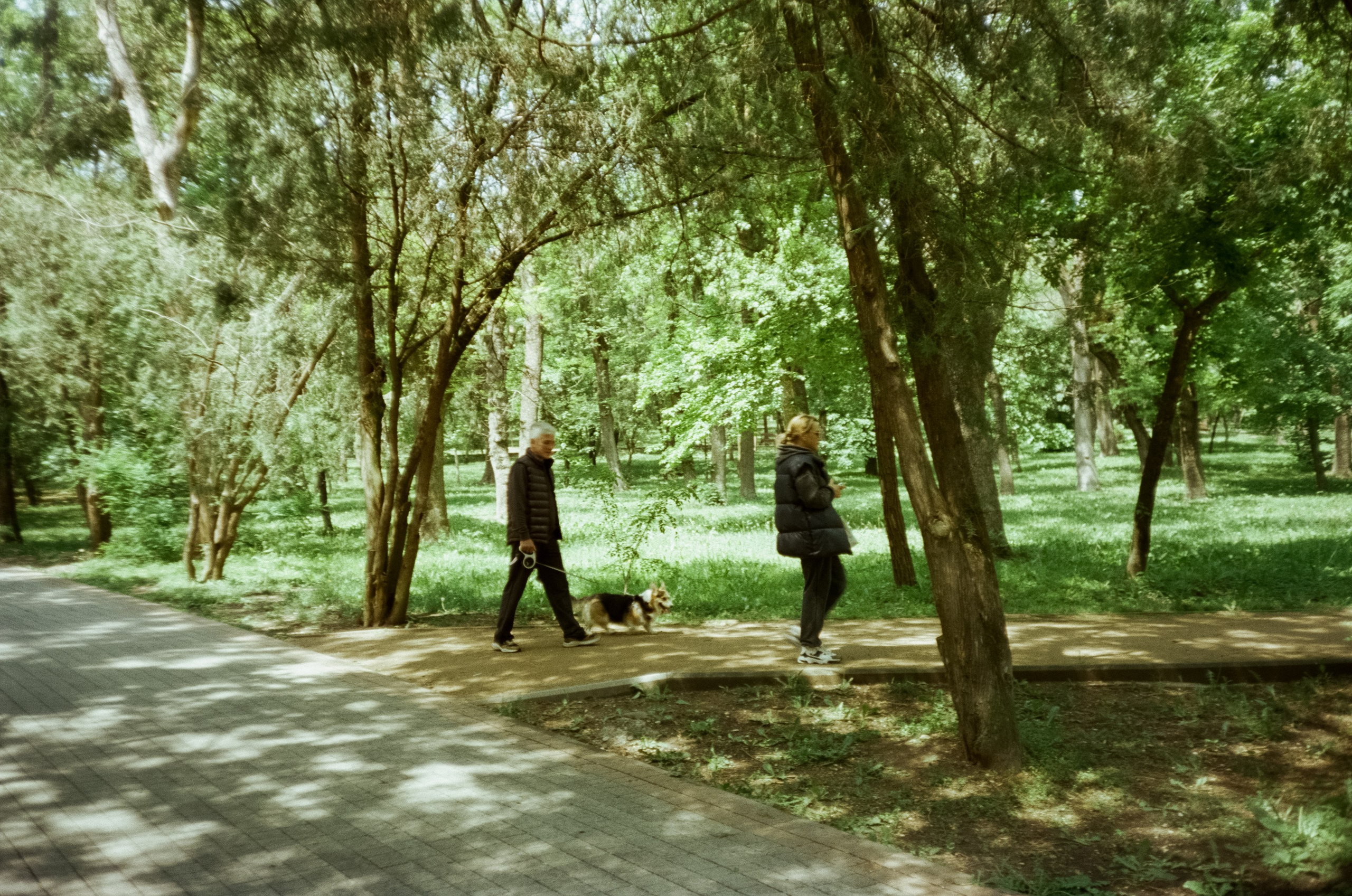 Прогулка в Ессентуках. Ловим солнце в завершении отдыха. Фотограф-документалист Мария Осокина