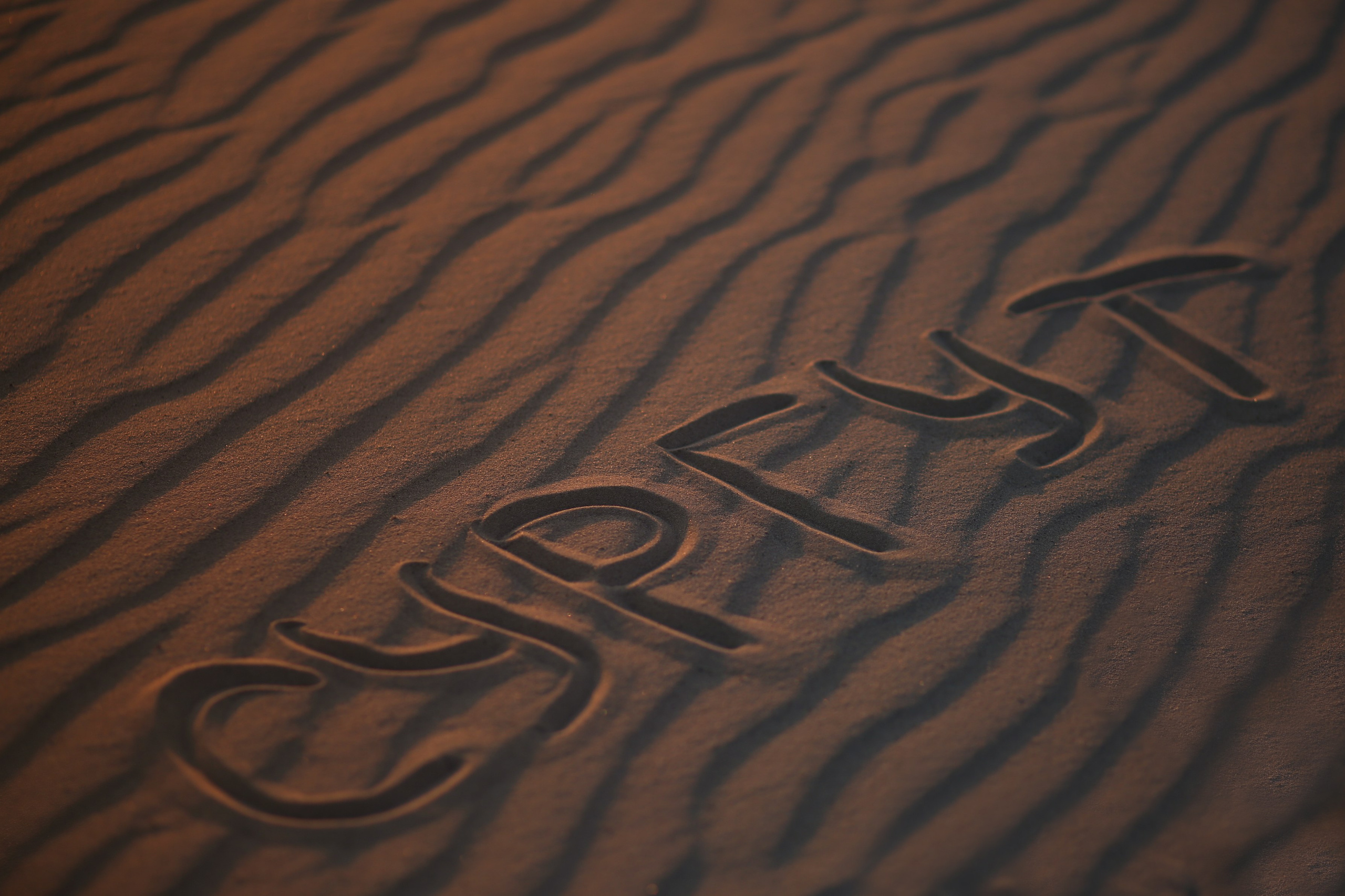 Сургут. Фотограф в г. Сургуте Марина Киприна