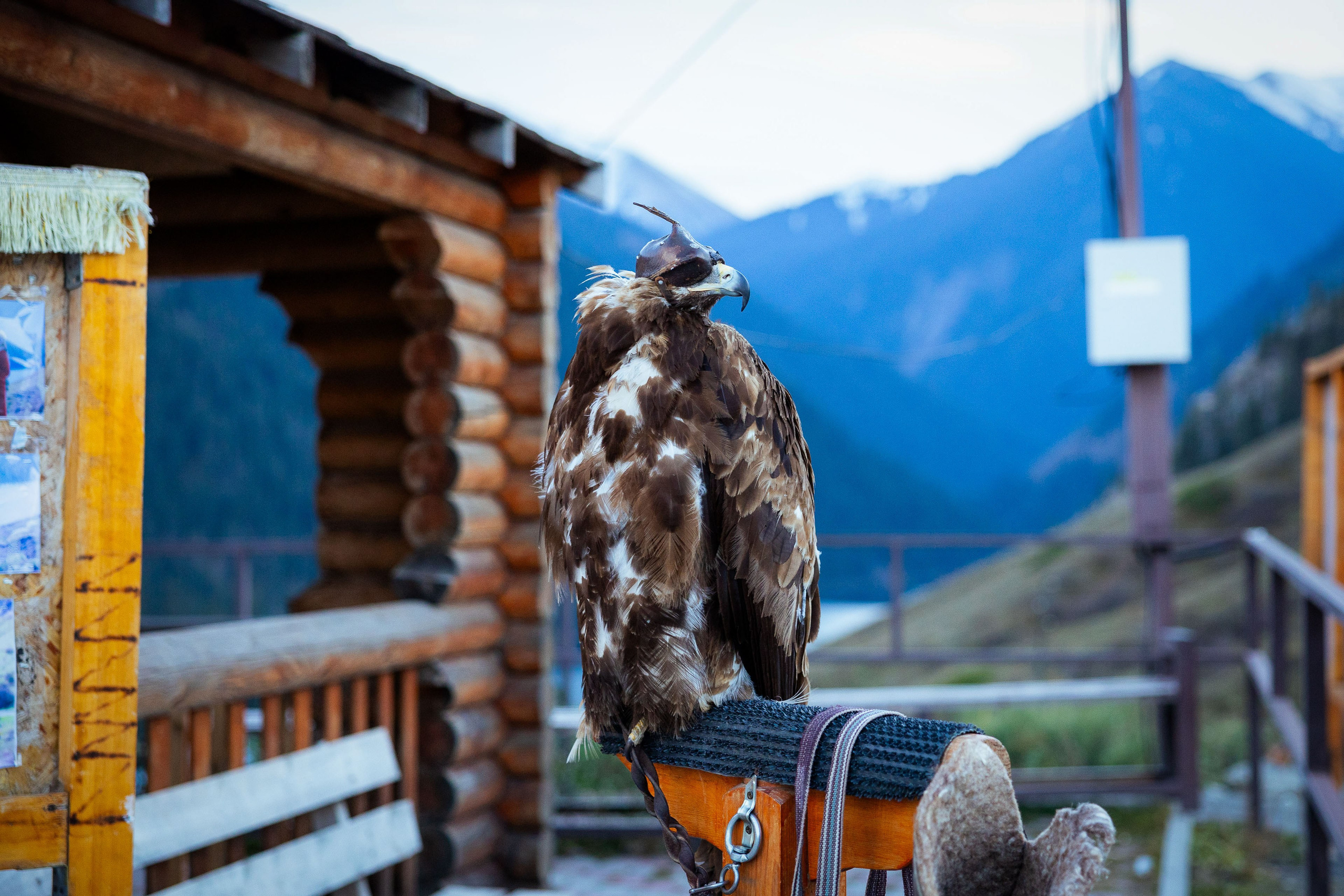 Казахстан (осень 2024). Фотограф Виноградов Константин