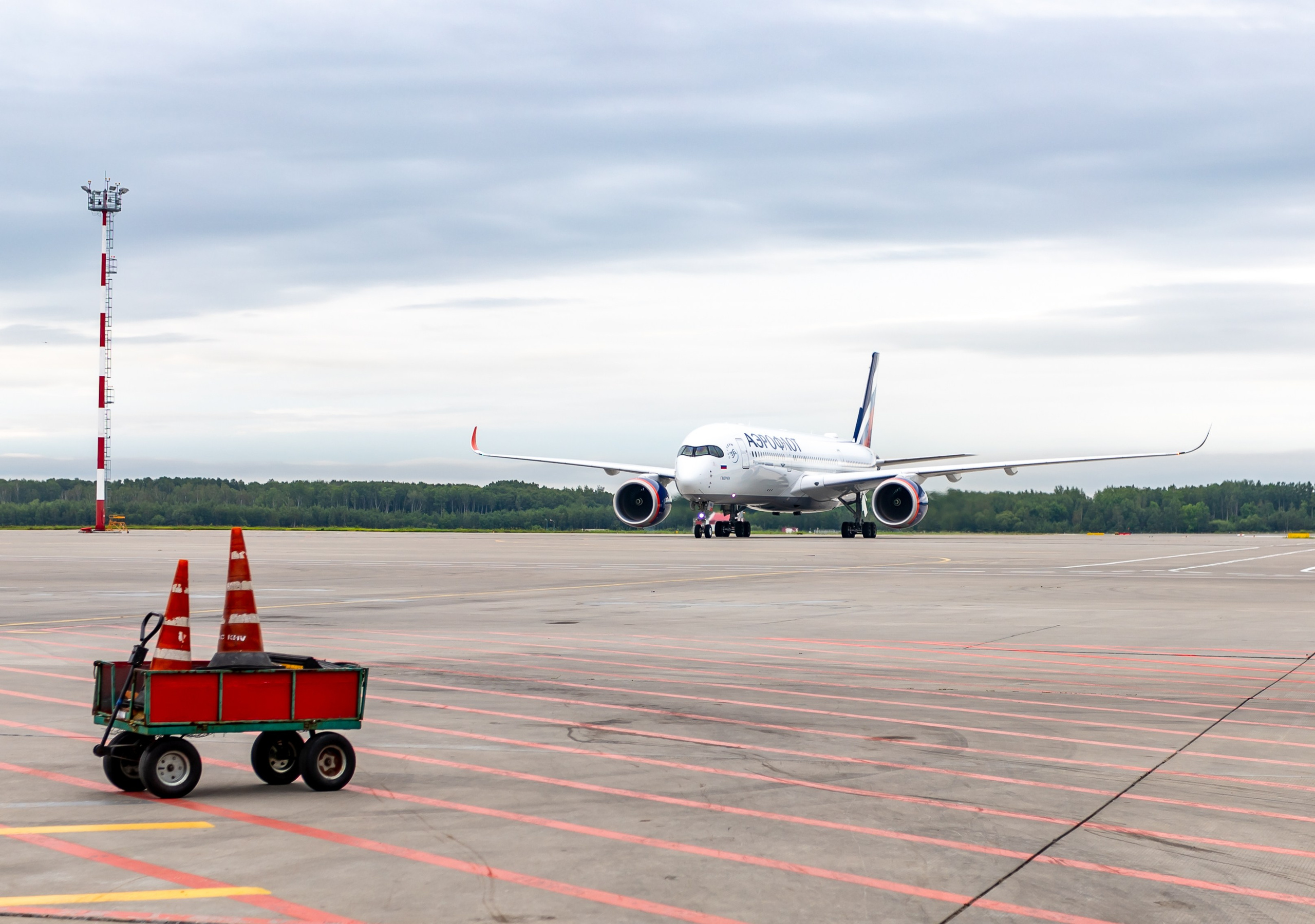 Споттинг 2024. Семейный и детский фотограф в Хабаровске Алевтина Проскурякова