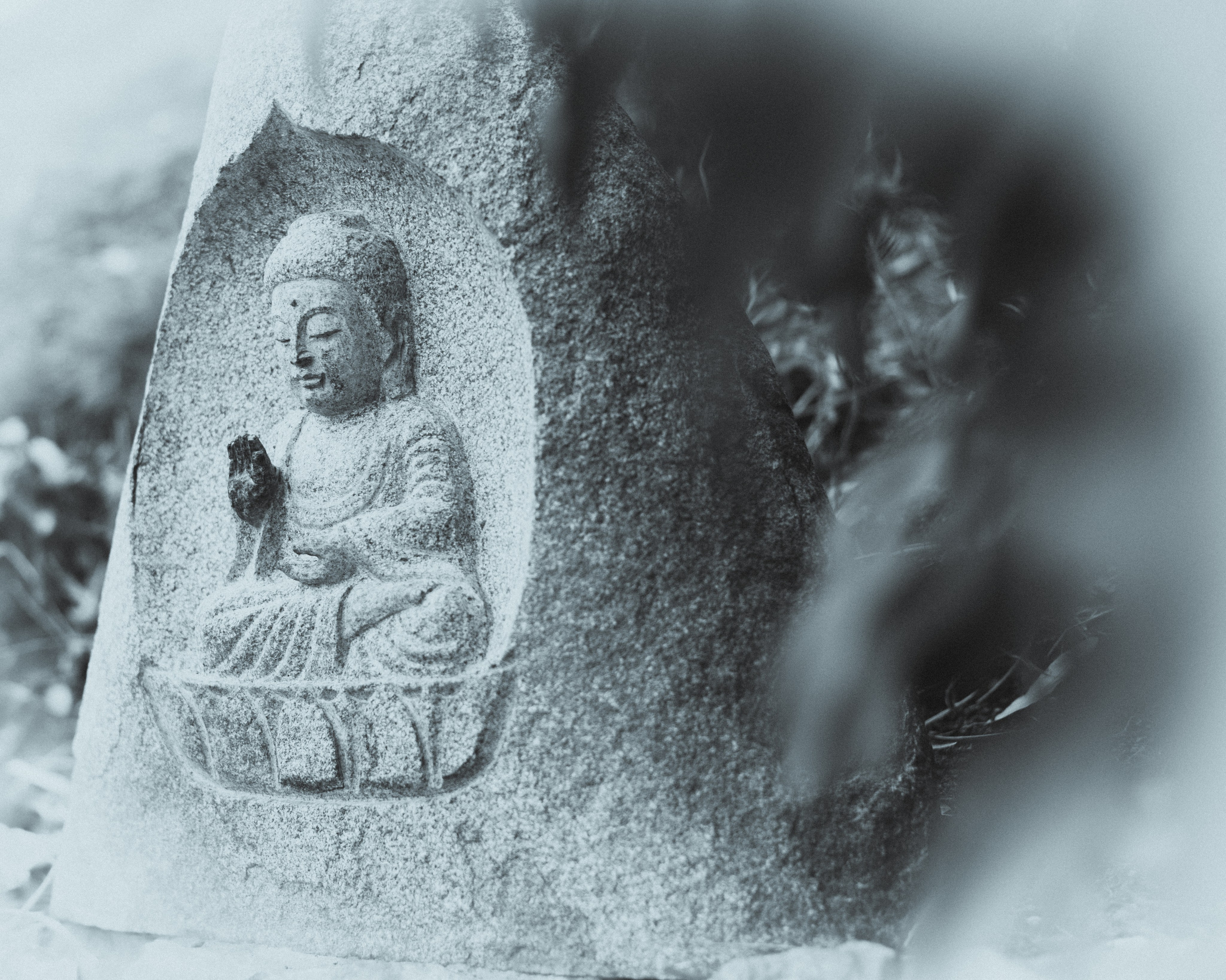 Silence. Главная