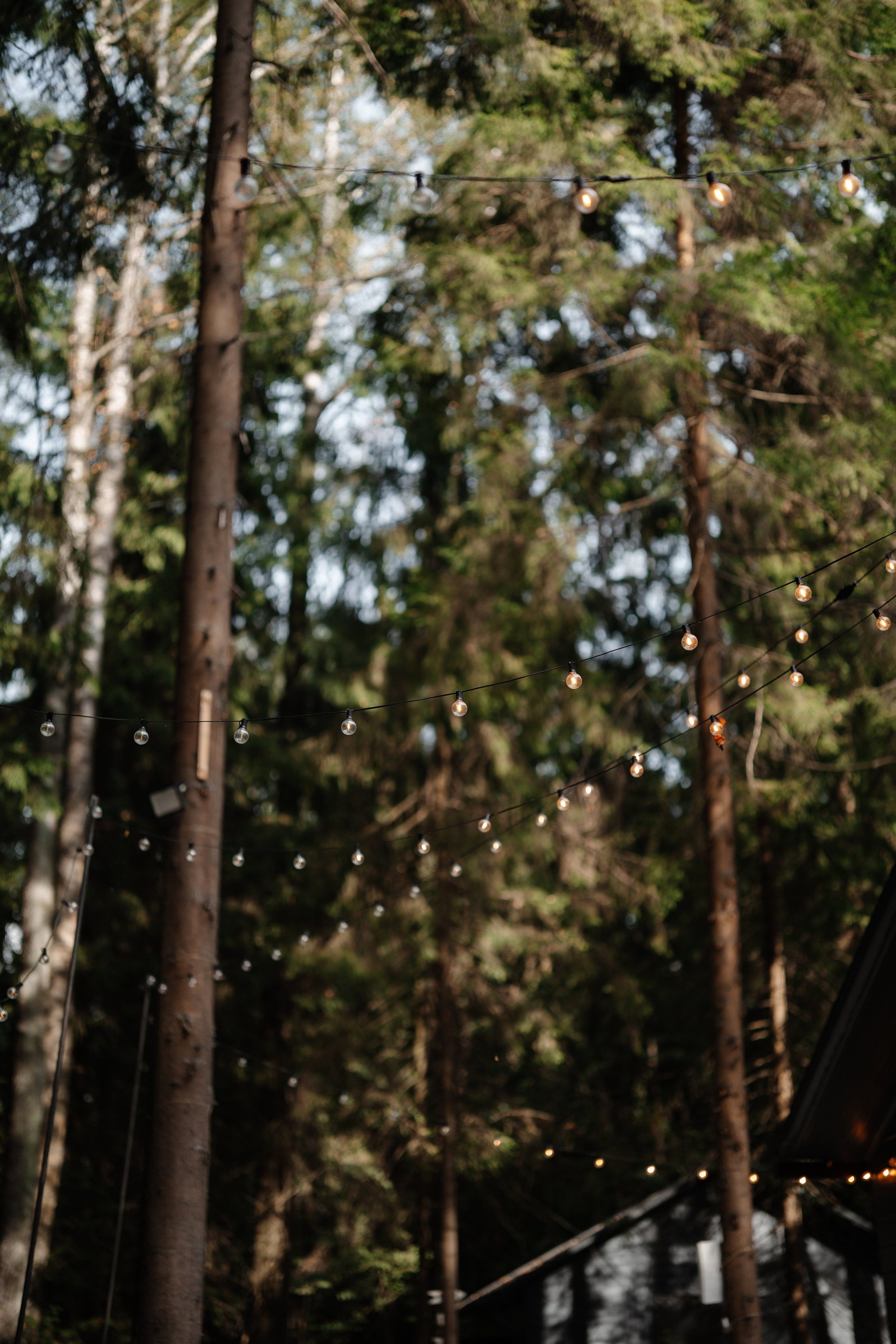 Гриша и Настя. Свадебный и репортажный фотограф в Москве Андрей Вайман