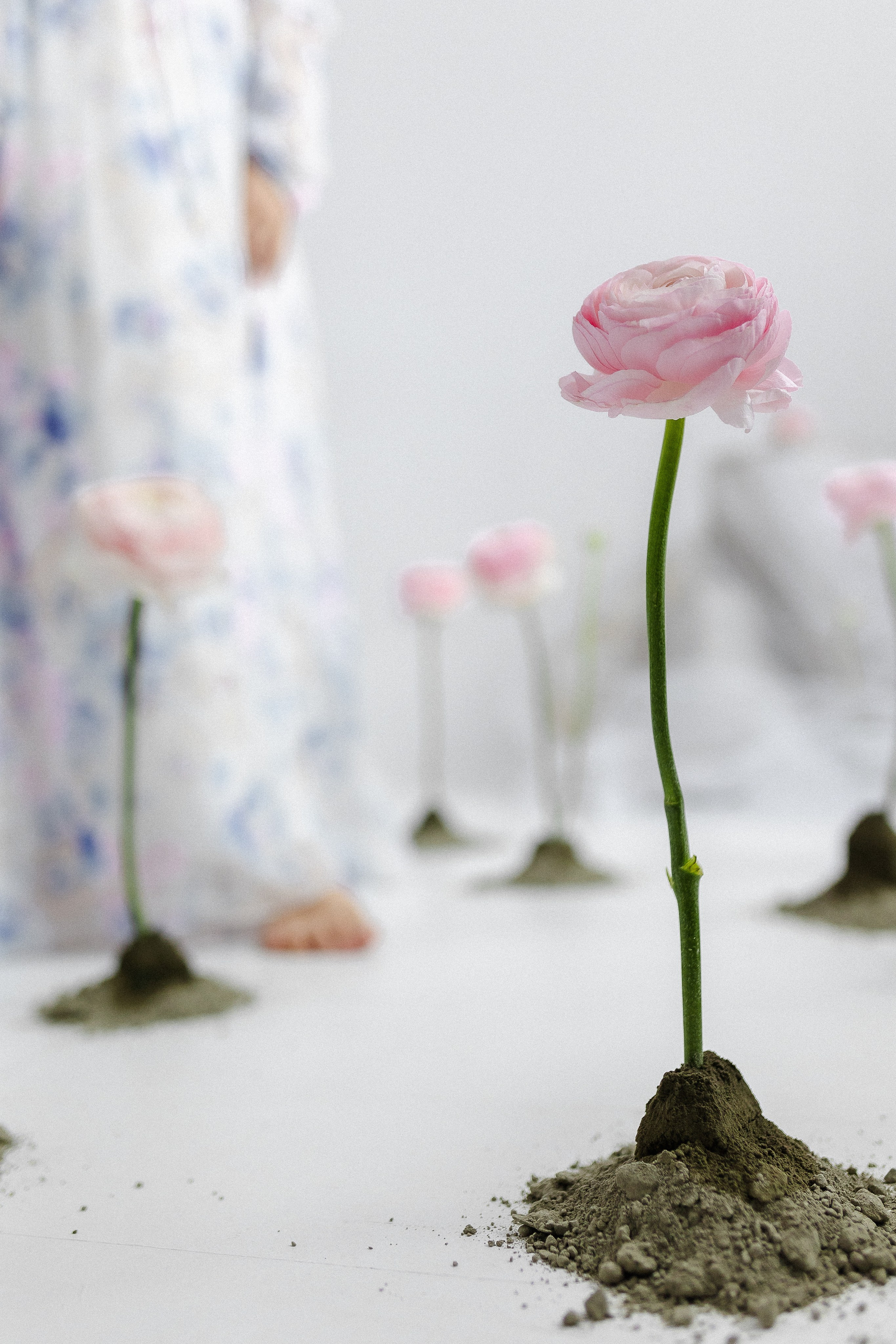 Для феи цветов. Семейный фотограф в Нижнем Новгороде Доронина Юлия