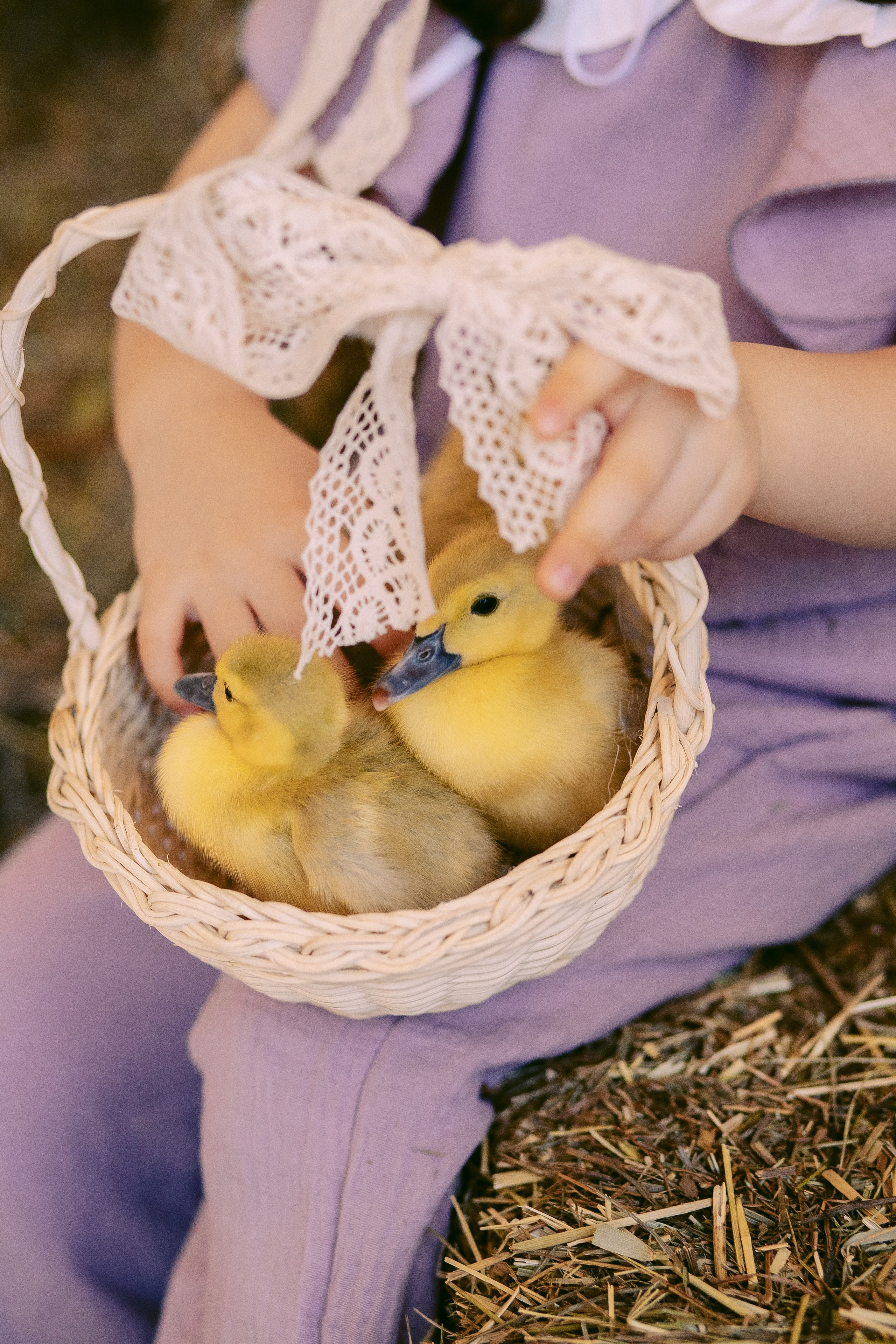 Пасхальная Фотосессия для Дарьи с утятами и кроликом. Фотограф в Санкт-Петербурге, Анна Скворцова