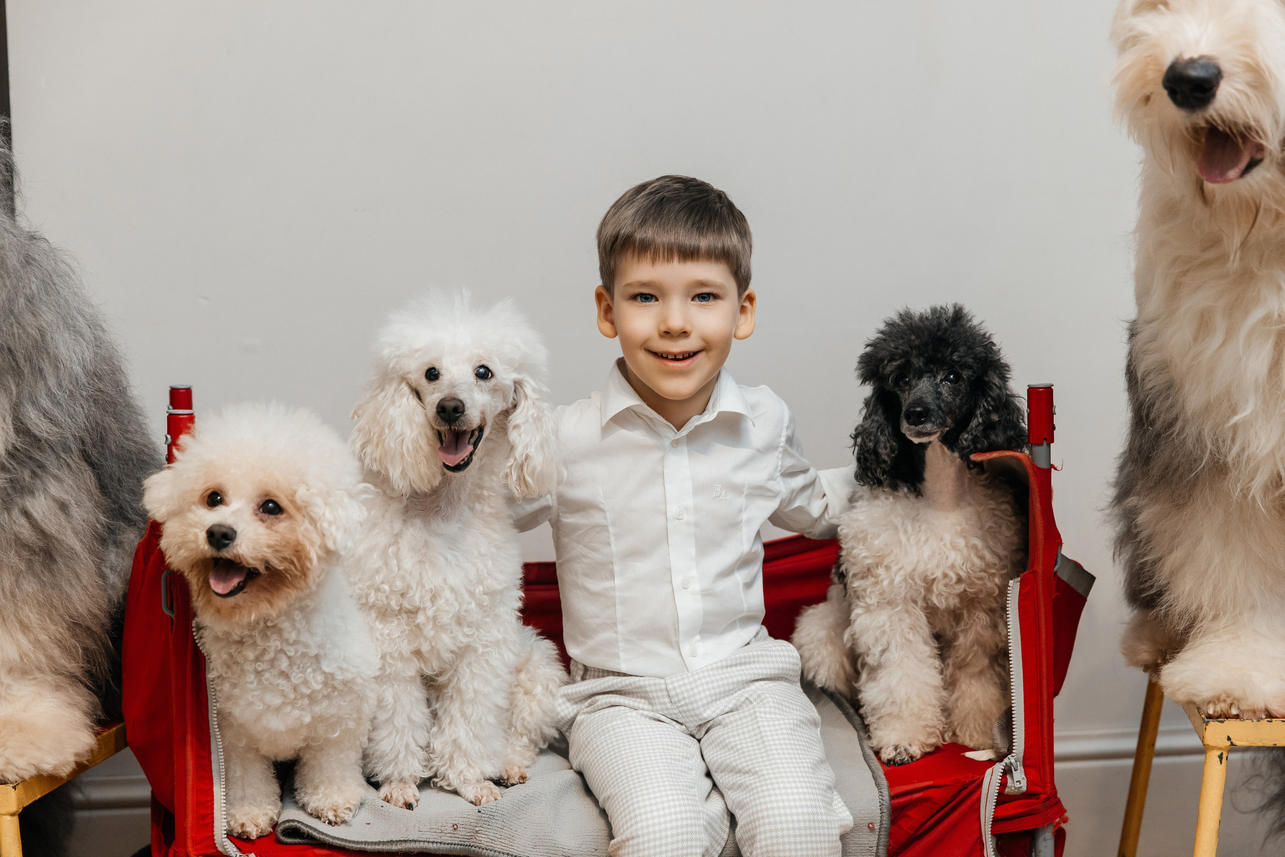 Даниил 4 года. Фотограф Москва Шептаев Артём