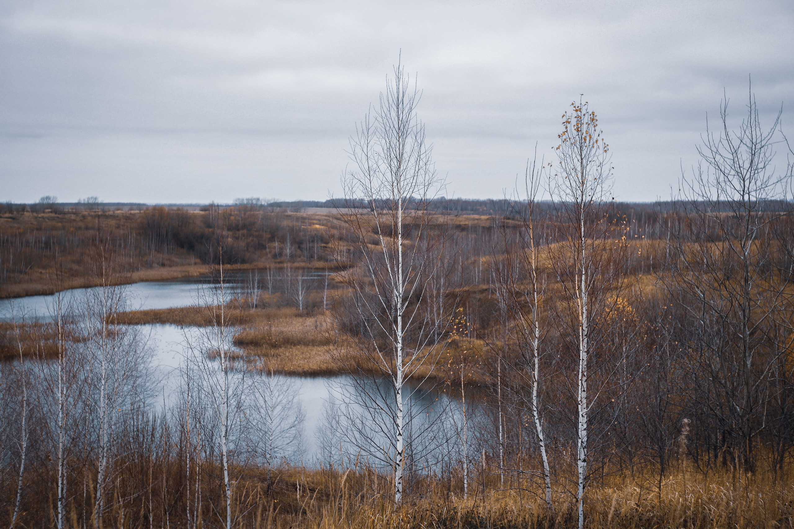 Ноябрь 2022. Efremovaphoto.ru