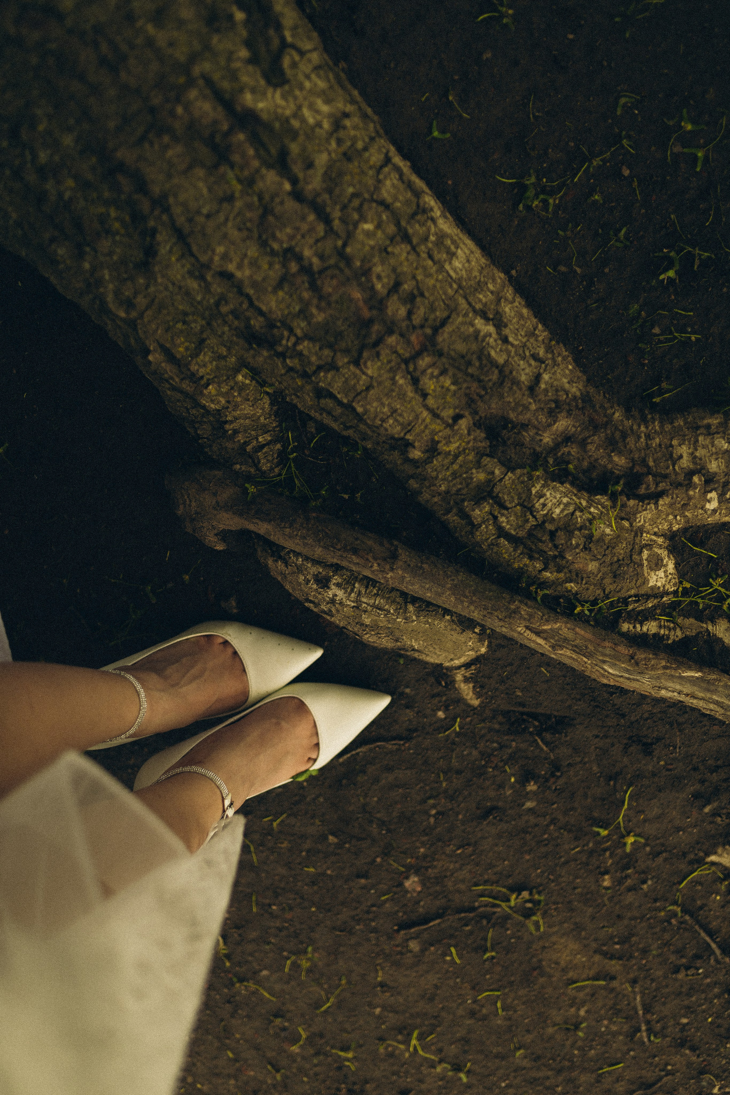 Vinity Forest. Фотограф Анастасия Платонова | Санкт-Петербург