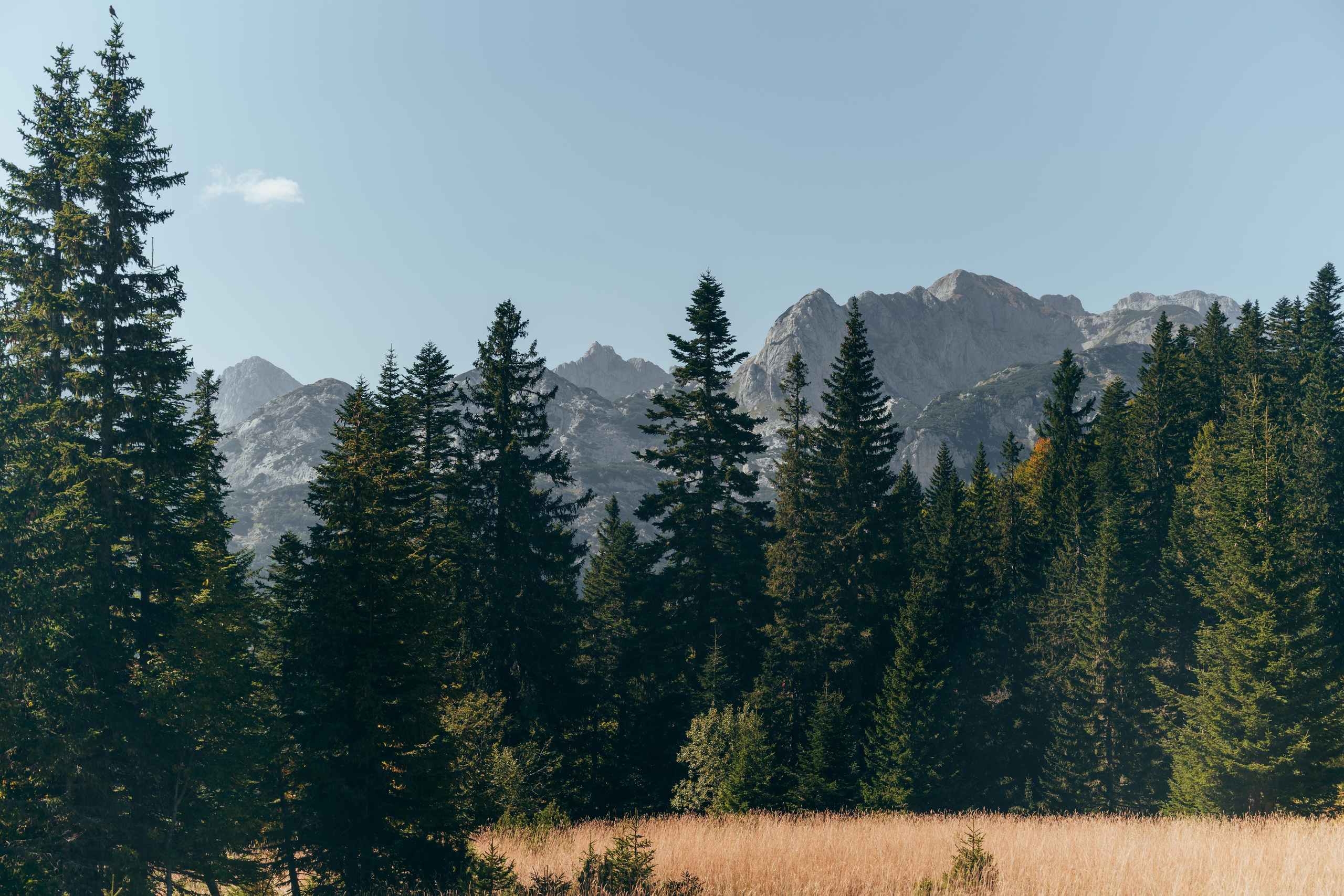 ЦРВЕНА ГРЕДА. ЧЕРНОГОРИЯ. Фотограф в Белграде Чугреева Елена