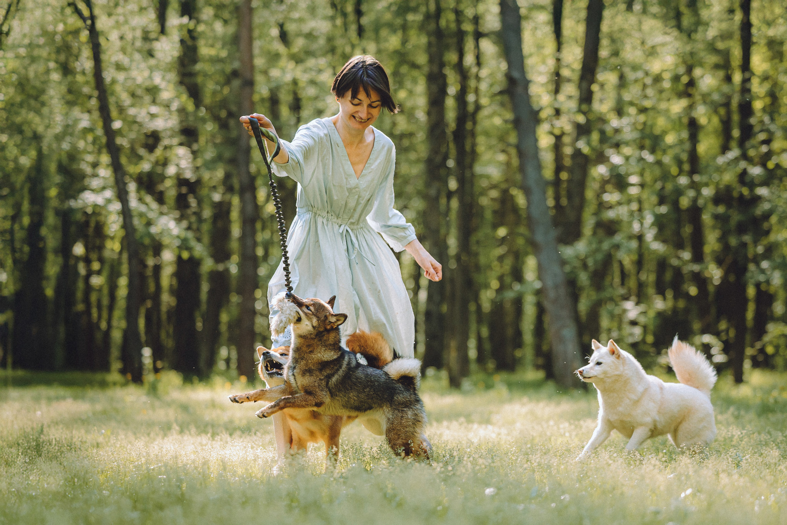 Шед, Цири, Чиби, Цера и их семья