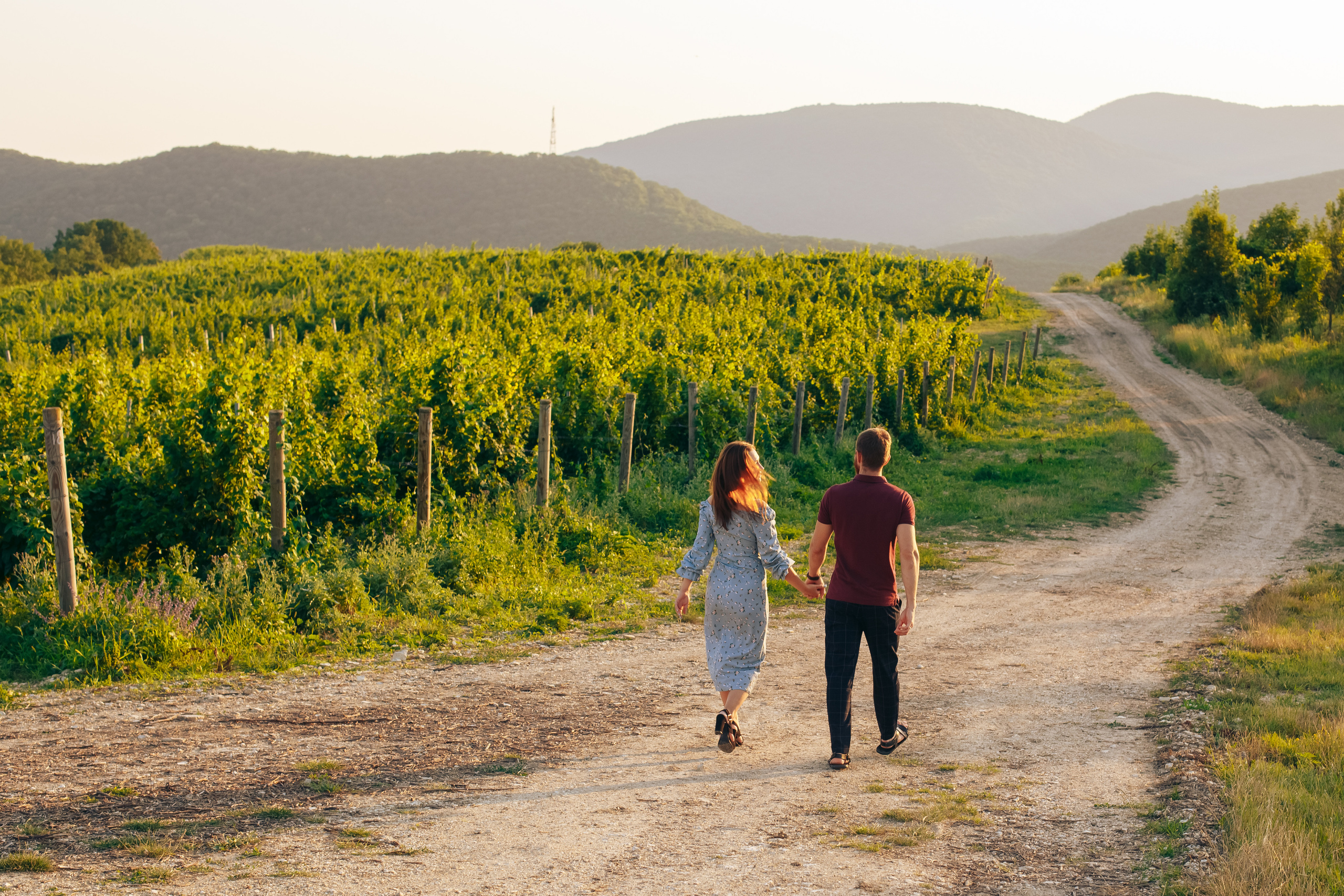 Коля и Оля. Свадебный фотограф в Краснодаре Николай Крауз