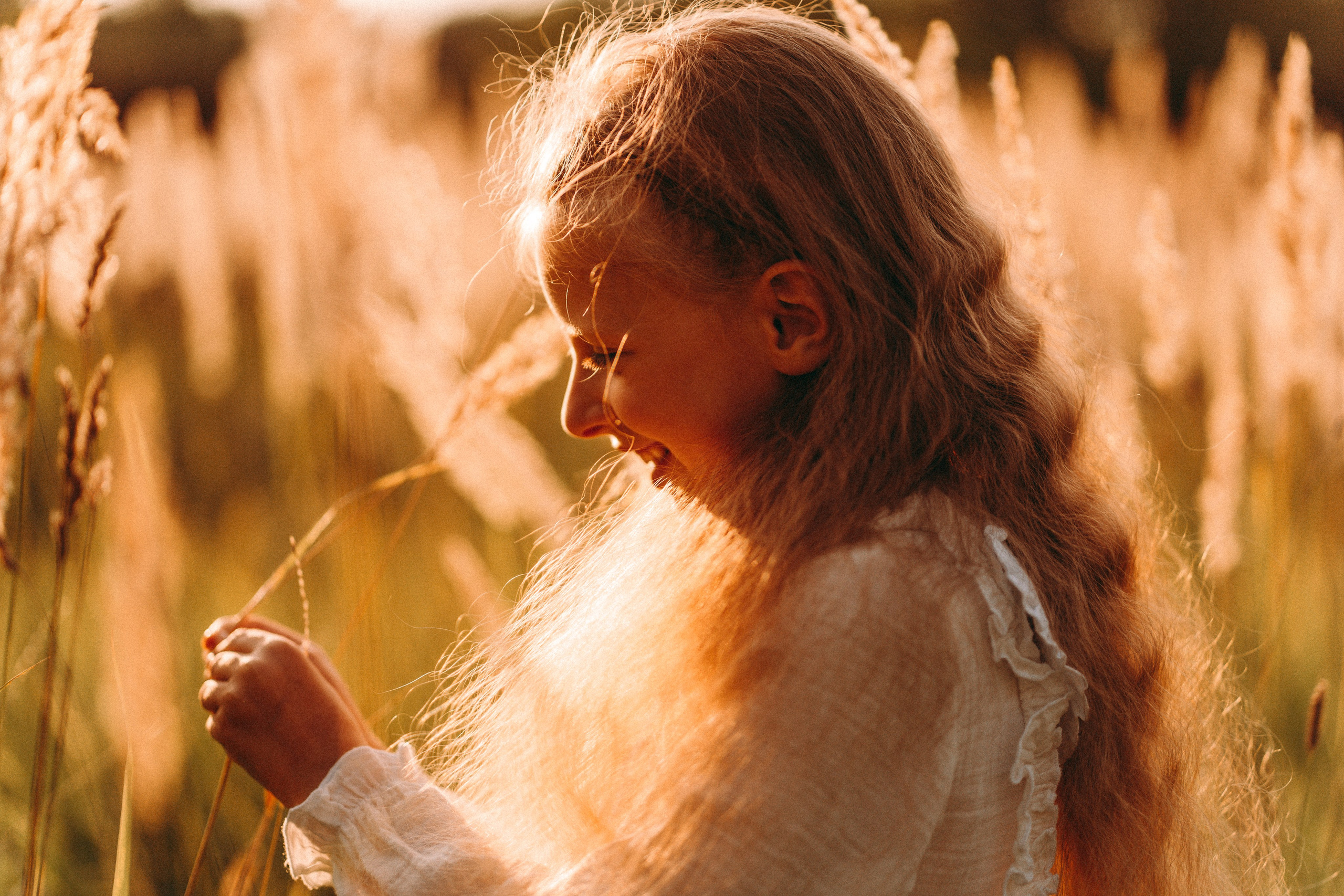Летнее золото в волосах. Главная