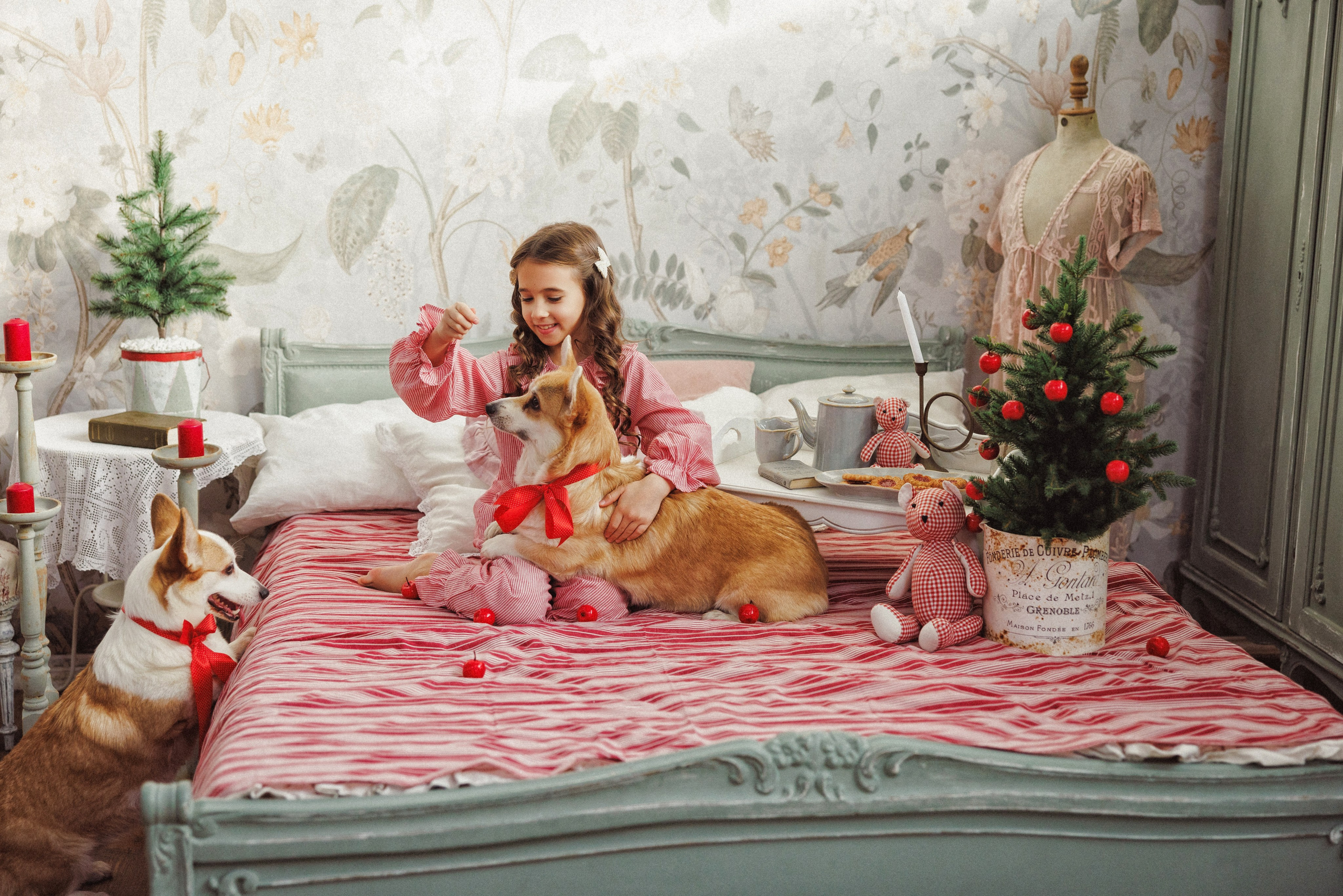 Новогодняя фотосессия с собачками породы Корги, город Краснодар. Семейный и детский фотограф в Краснодаре Анна Трашкова