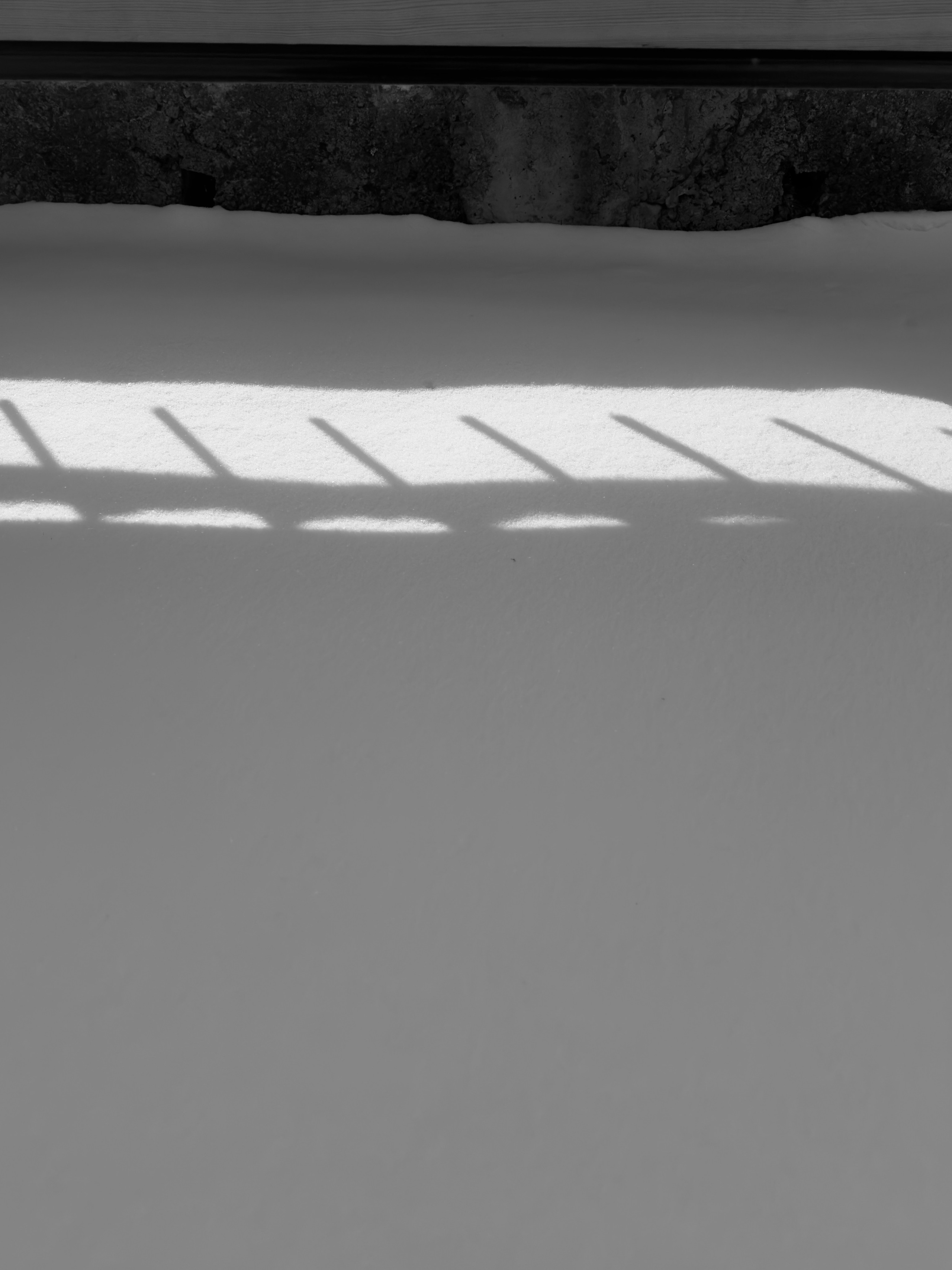 Визуальный дневник. Репортажный фотограф в Алматы Цой Сергей