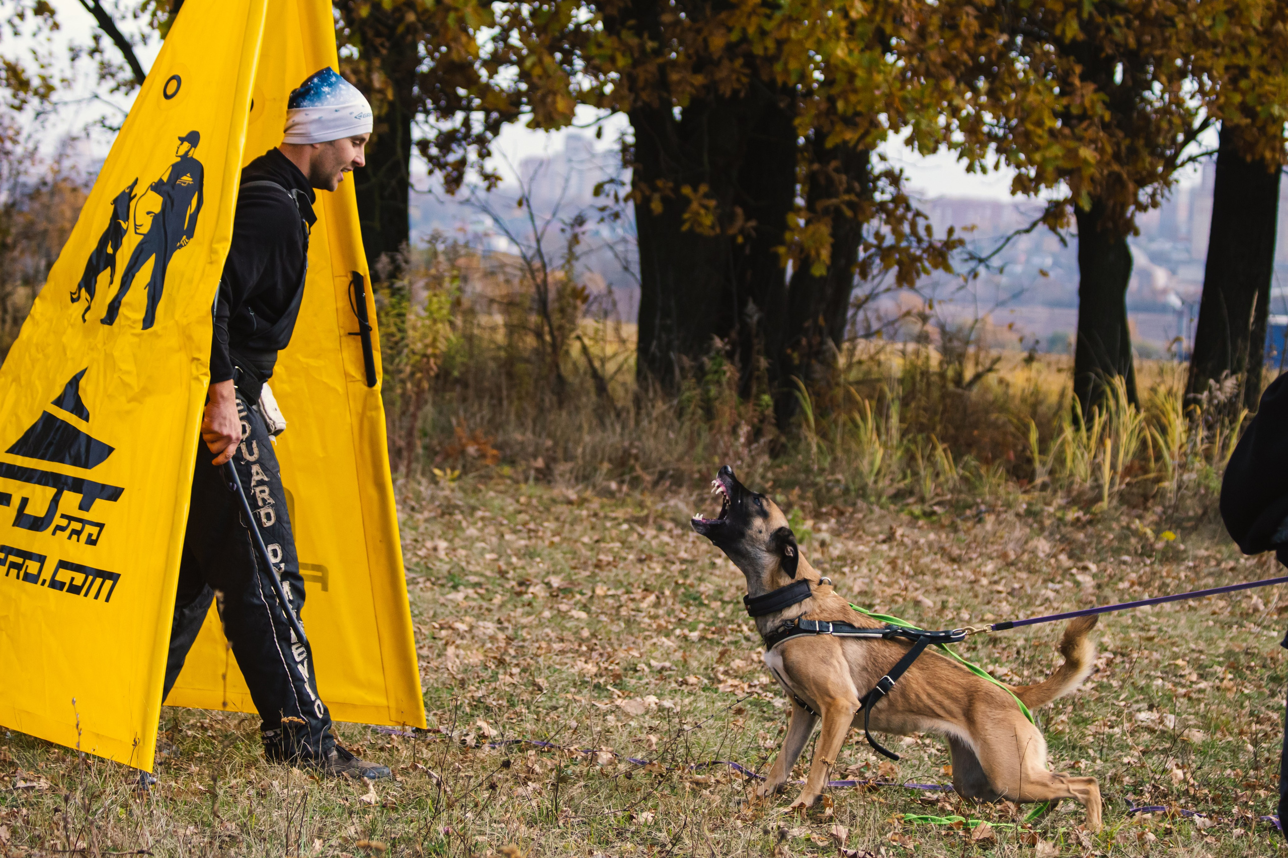 Тренинг защитного раздела. Фотограф анималист — Тула, Москва