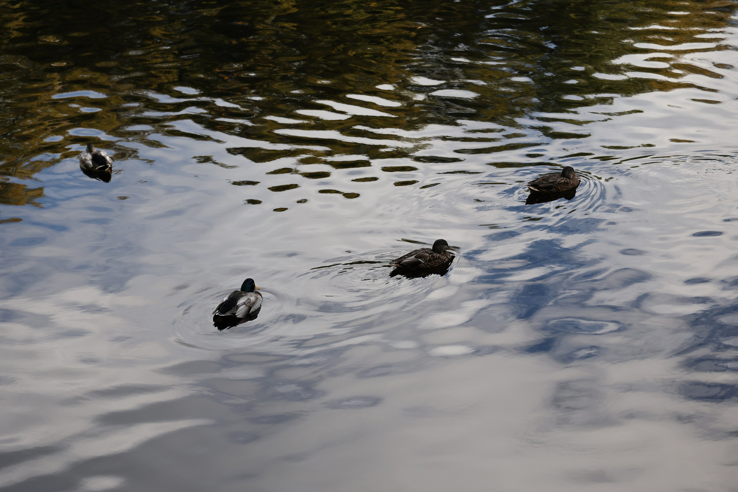 Это Питер, детка. Добро пожаловать в студию «Цифровой скульптор»  где искусство встречается с технологиями!