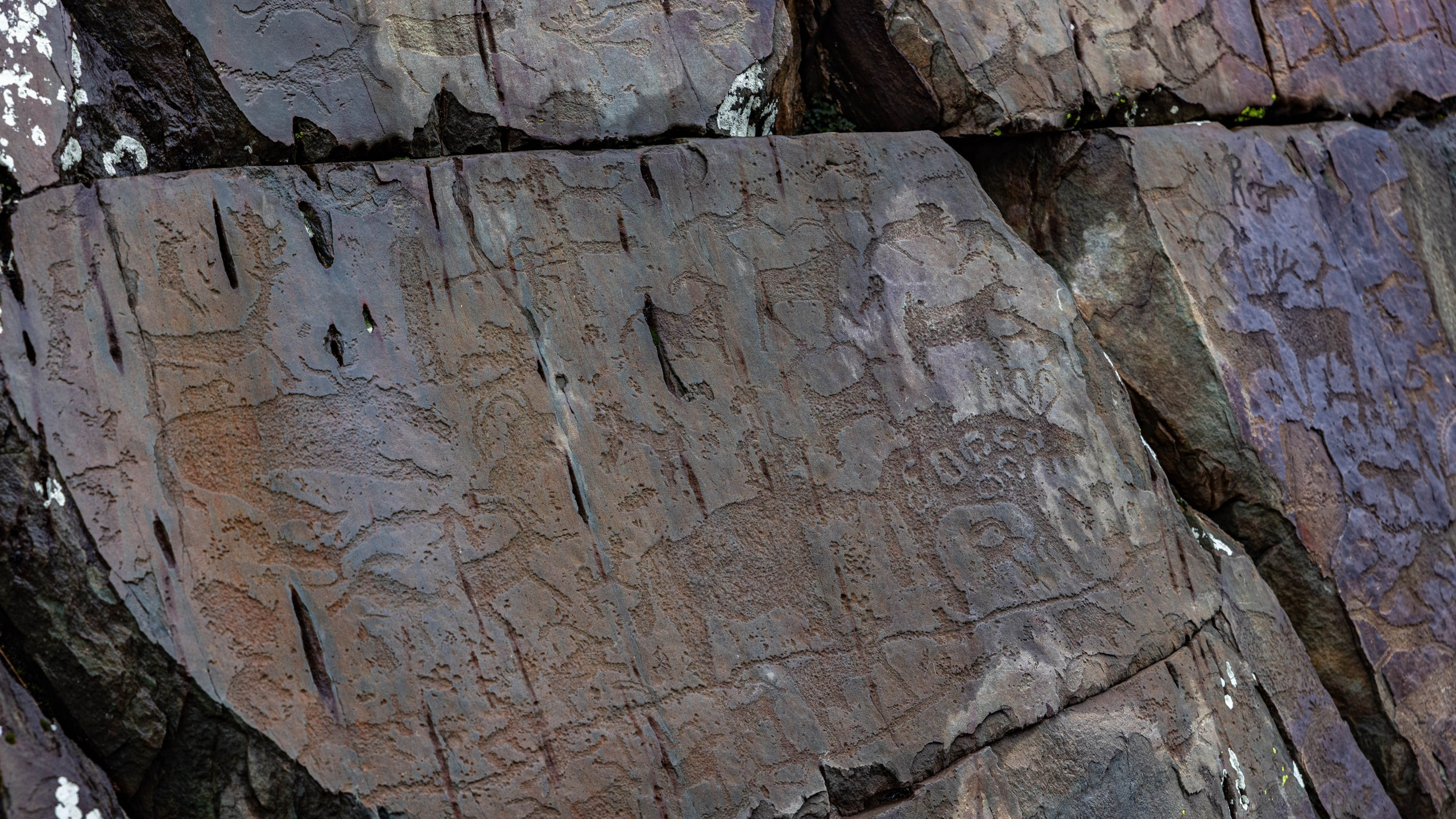 2025 09 Алтай. Чуйский тракт. Фотографии