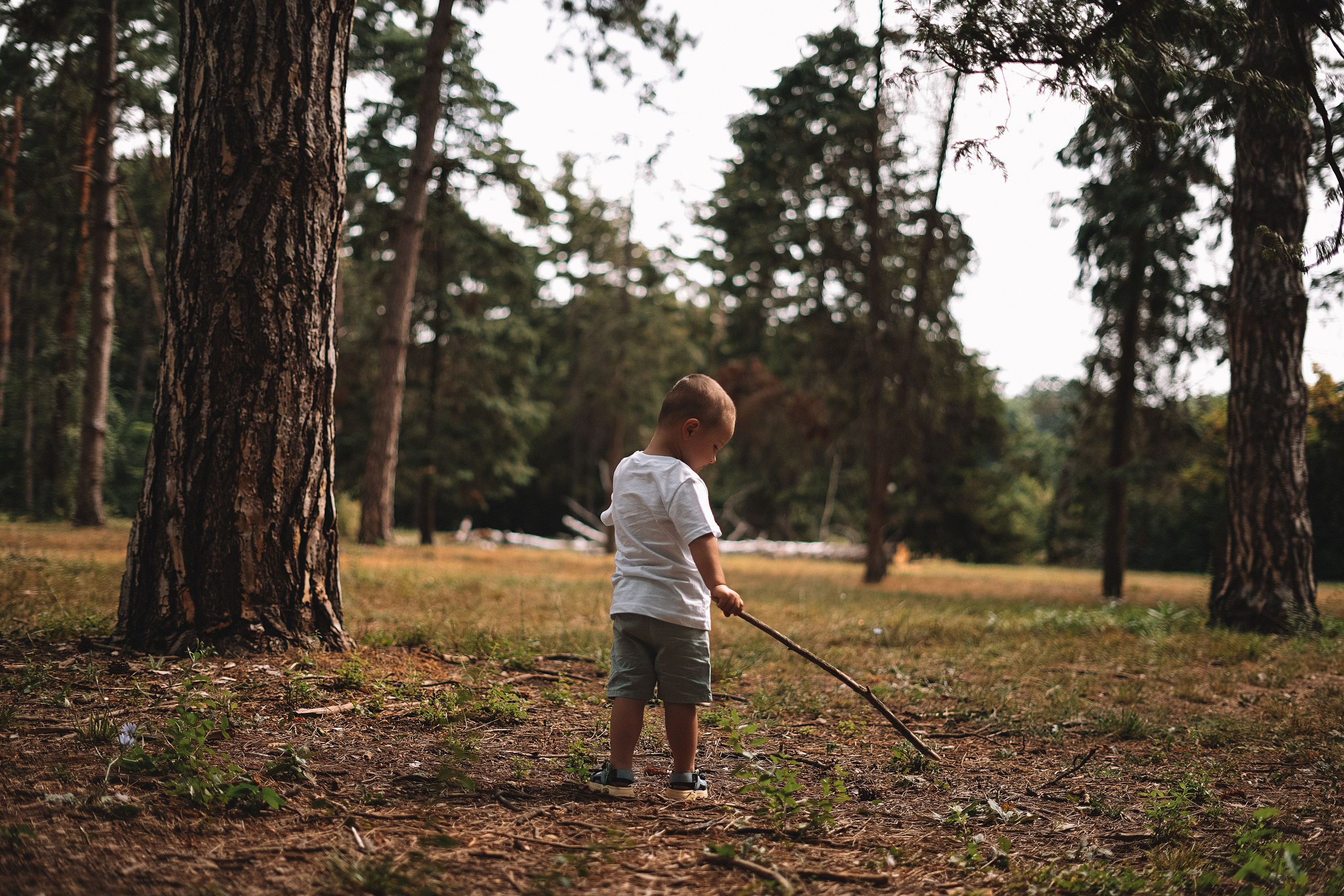 Дендрарий. Свадебный и семейный фотограф/видеограф в Краснодаре Наталья Осинская