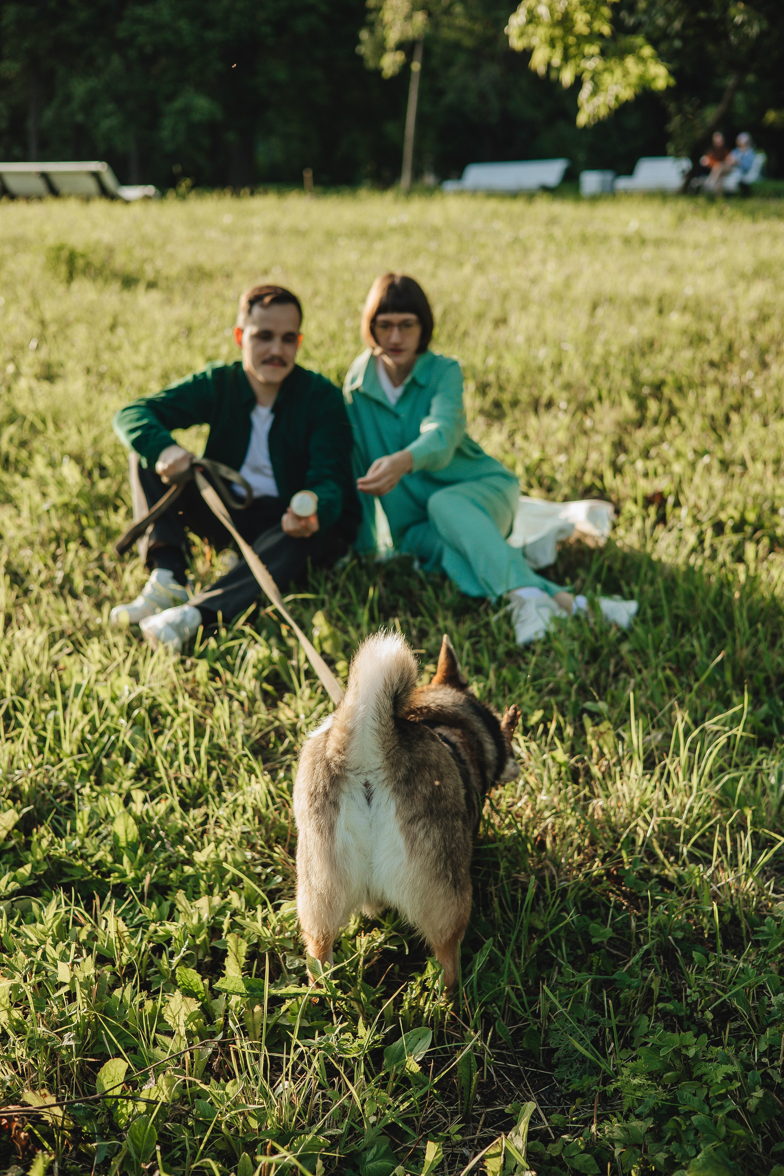 Маша + Сережа + Ластик. Свадебный и семейный фотограф Пушкин Царское Село СПБ Питер Санкт-Петербург и Рязань Ольга Козлова