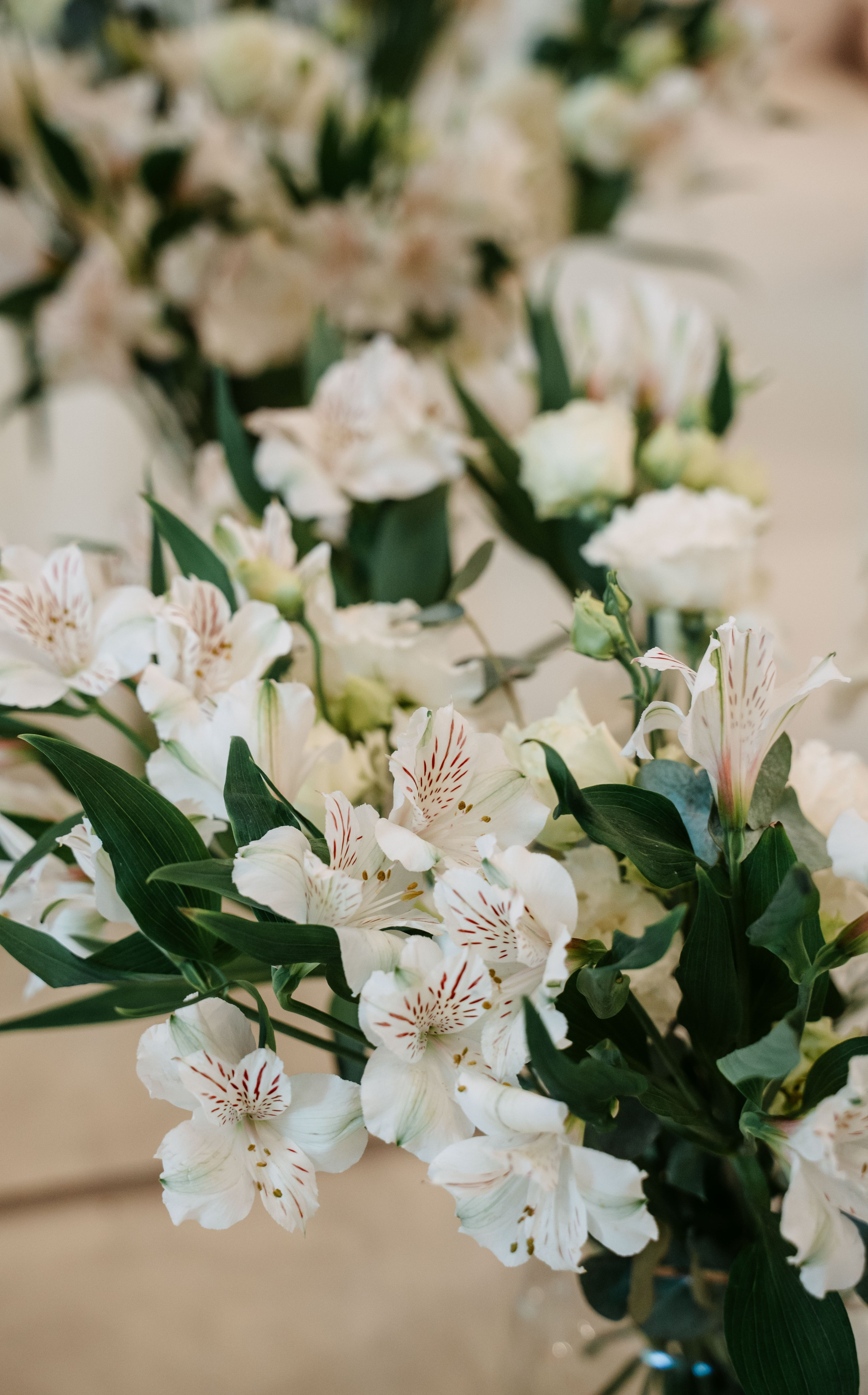 AGLAYA / ателье премиум одежды. Саша Копылов, фотограф в Казани