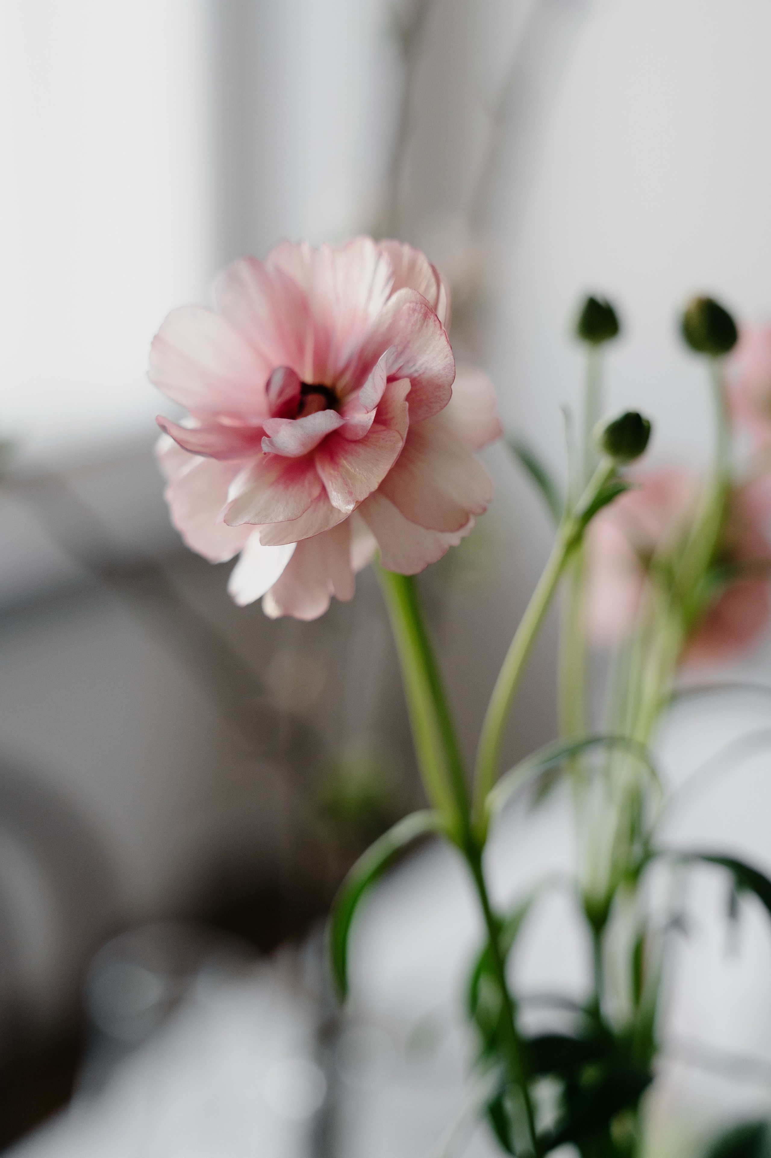 Алина и Руслан. Свадебный фотограф Колотовкина Валентина Москва