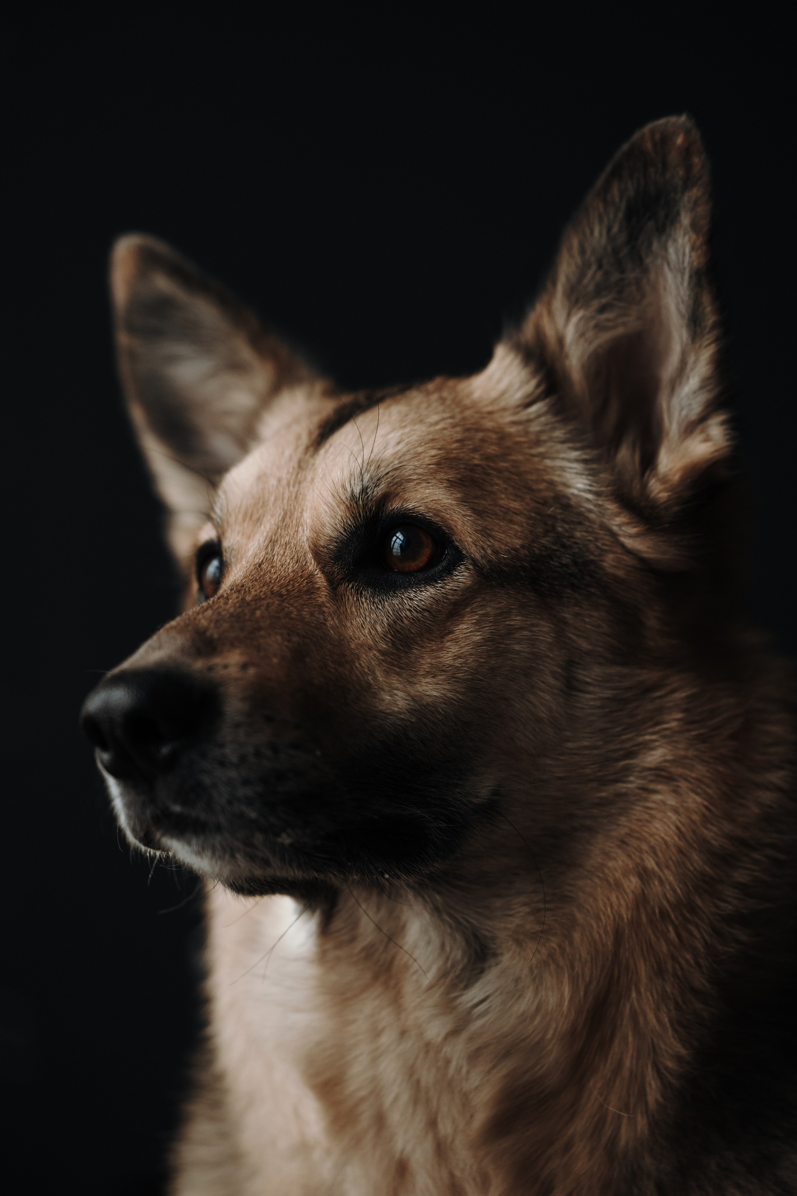 Лена и Дёма. Фотограф — Анималист | Санкт-Петербург