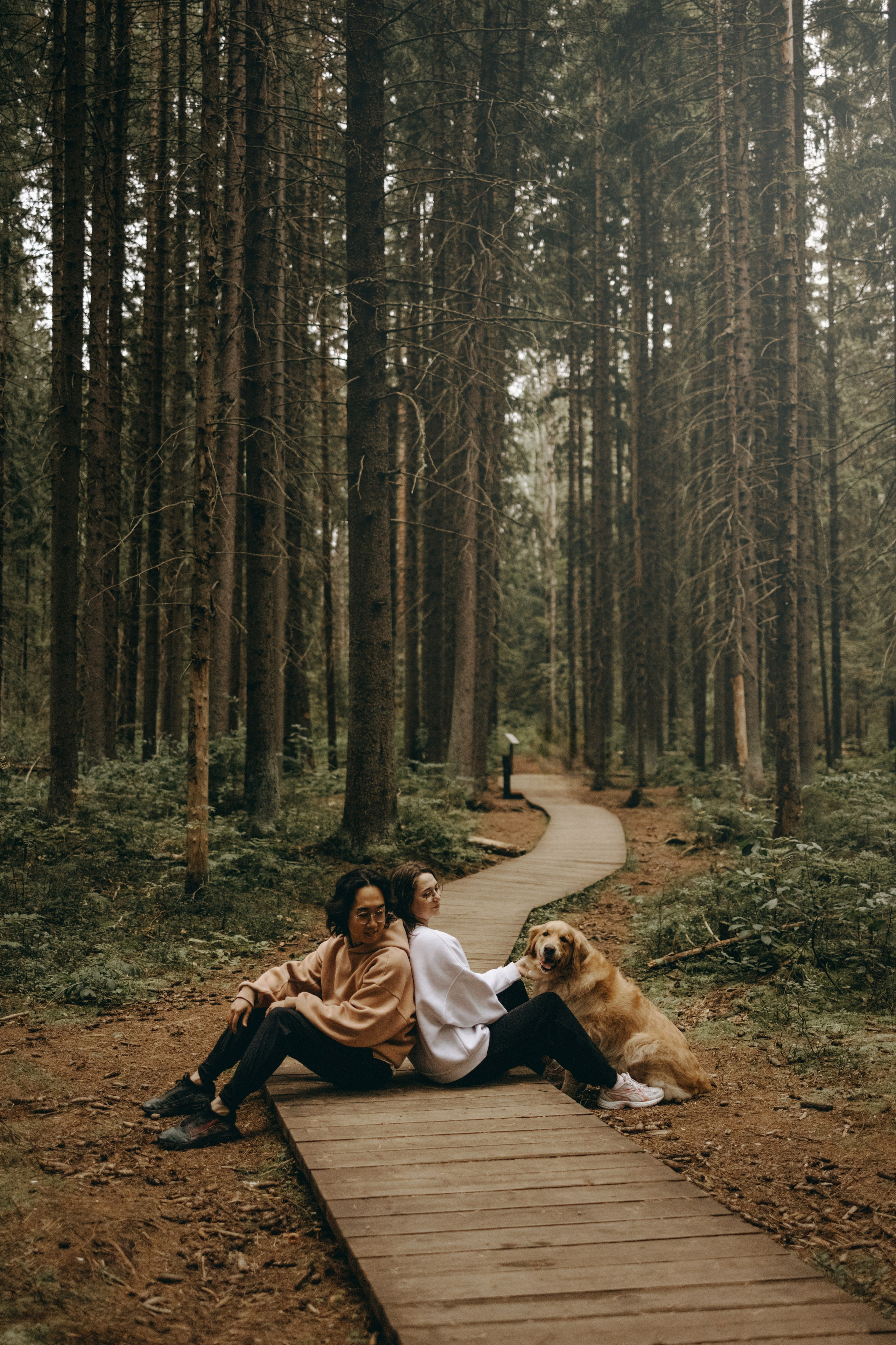 Фоси и его семьи. Фотограф — Анималист | Санкт-Петербург