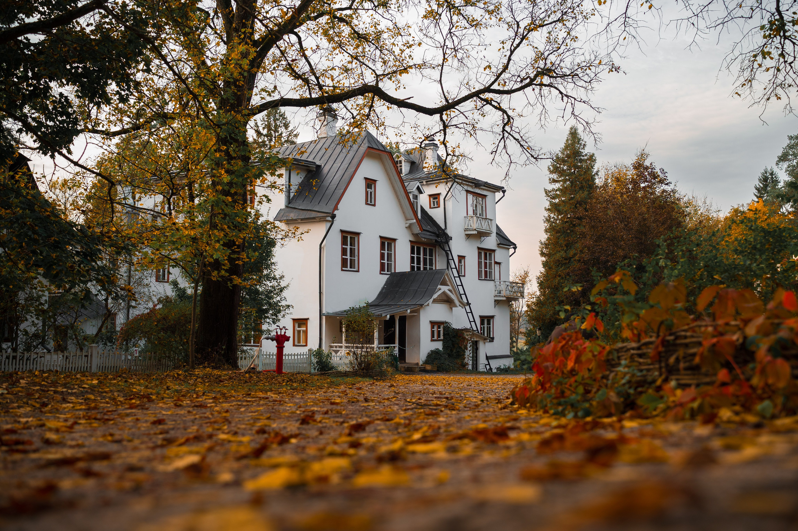 Поленово, Бёхово. Фотограф и видеооператор в Туле | Даниил Рыбак