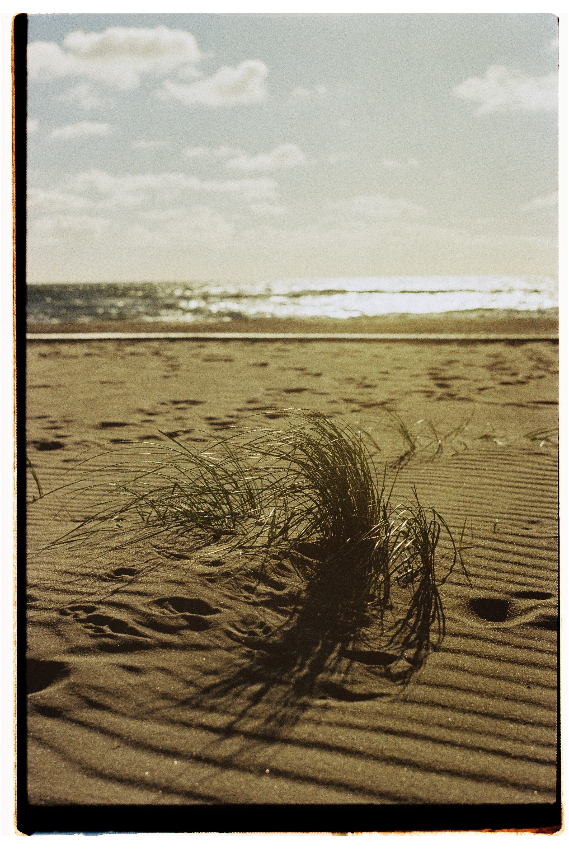 Калининградская область и Санкт-Петербруг | 2024. Портретный фотограф | Олеся Комарова | Екатеринбург