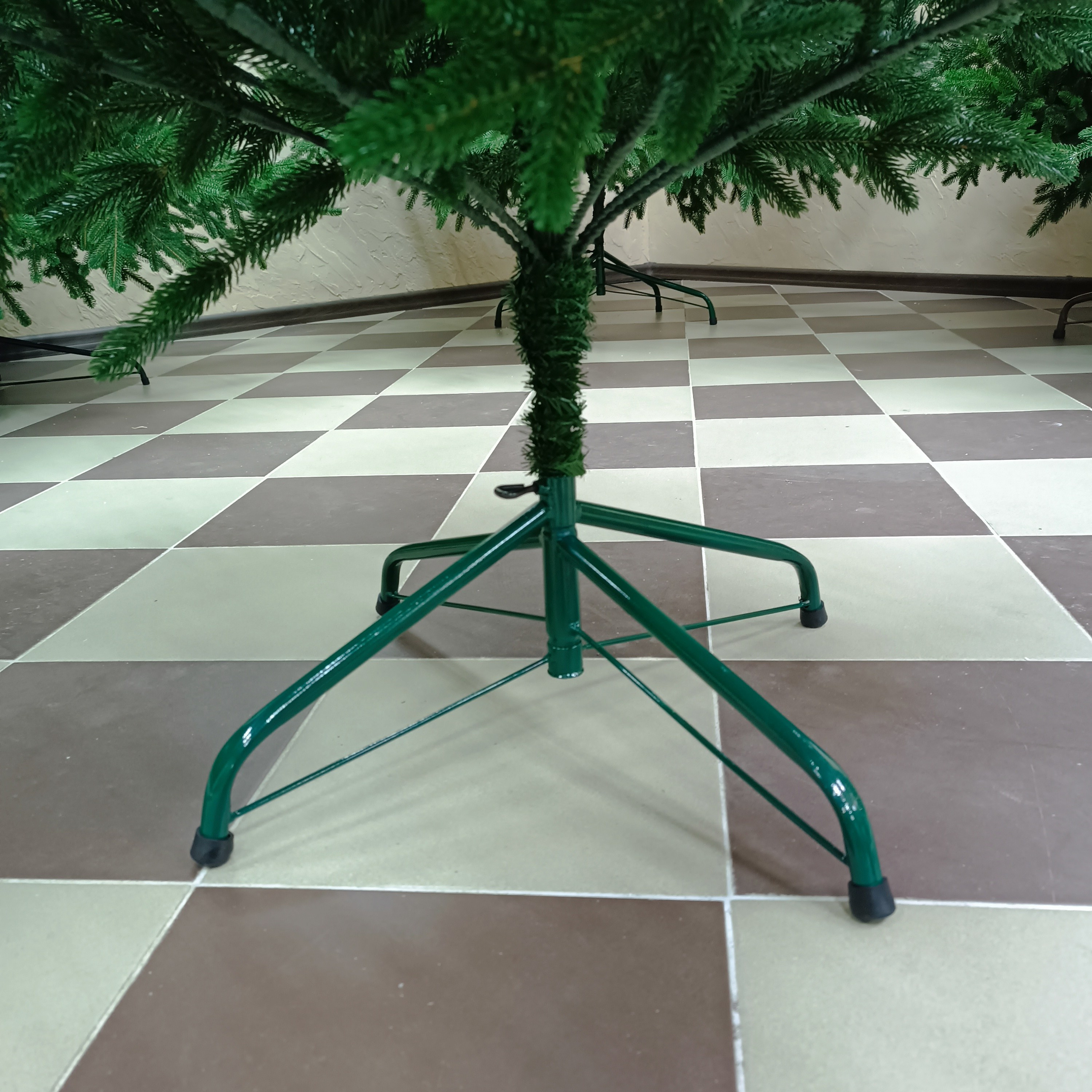 КАВКАЗСКАЯ. Elki_grodno