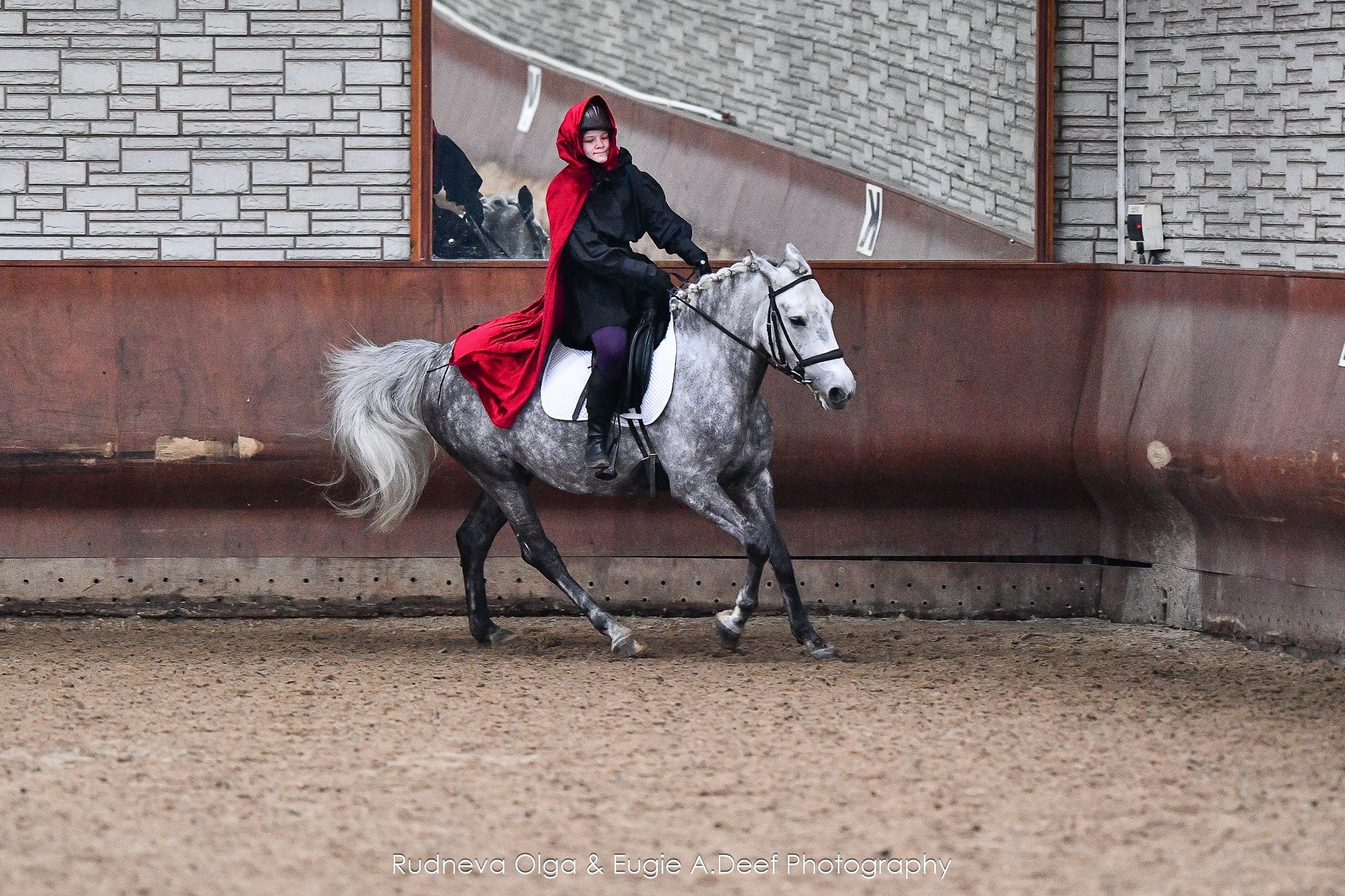 Отзывы. ТУРНИРНАЯ КОННАЯ ФОТОГРАФИЯ, Руднева Ольга и Евгений Адеев