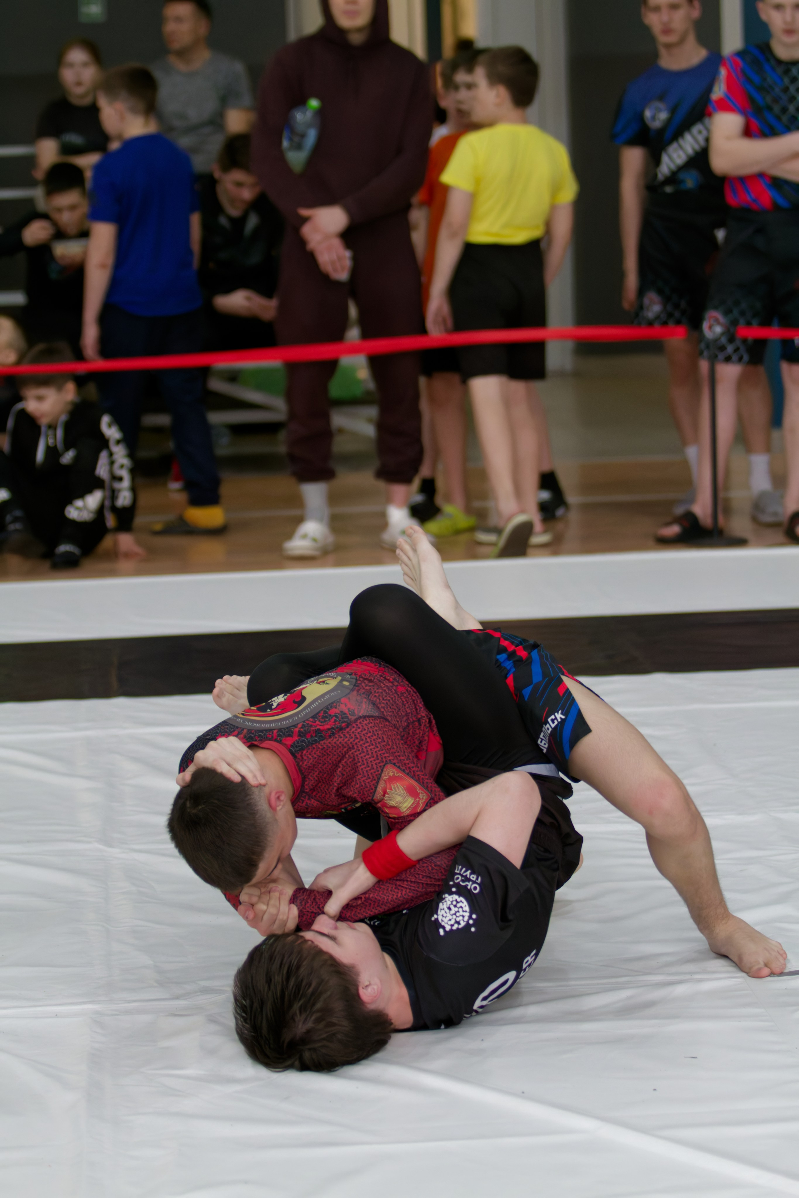 Борьба. Джиу-джитсу 26.04.2025. Репортажный и спортивный фотограф в г. Пермь Зильберг Павел