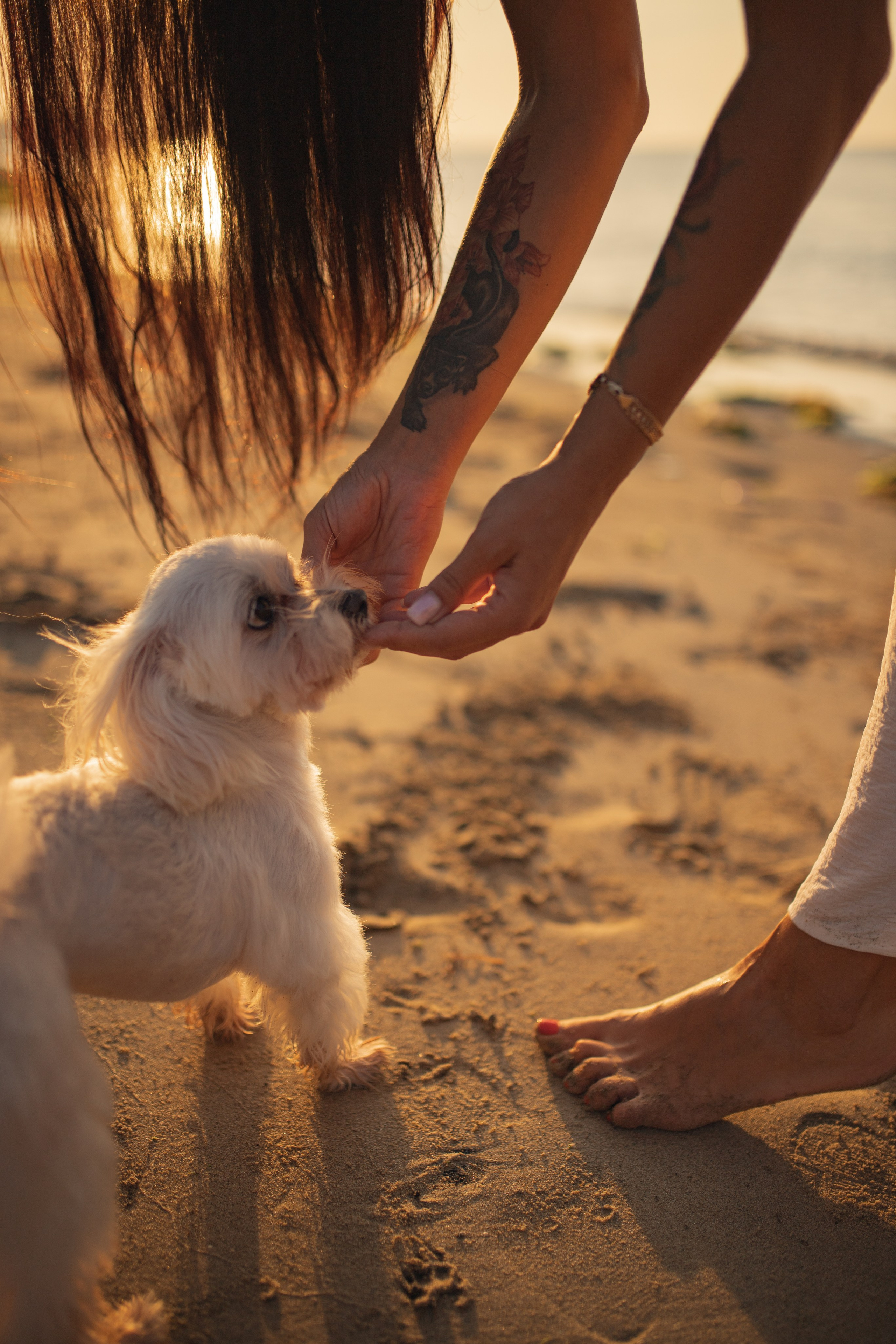 Анастасия и ее Пират.Нячанг. Главная