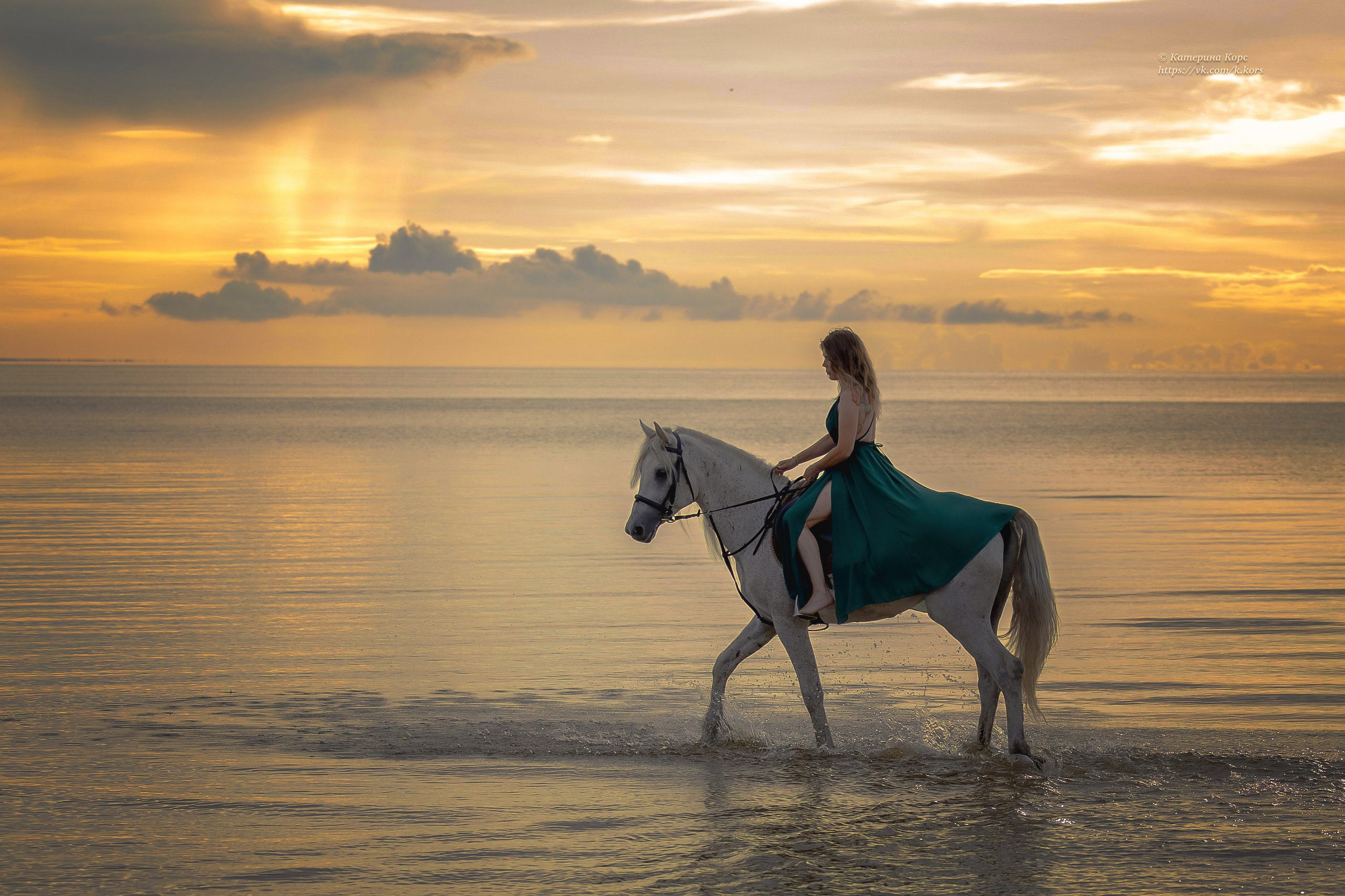 Лошади и люди. Главная