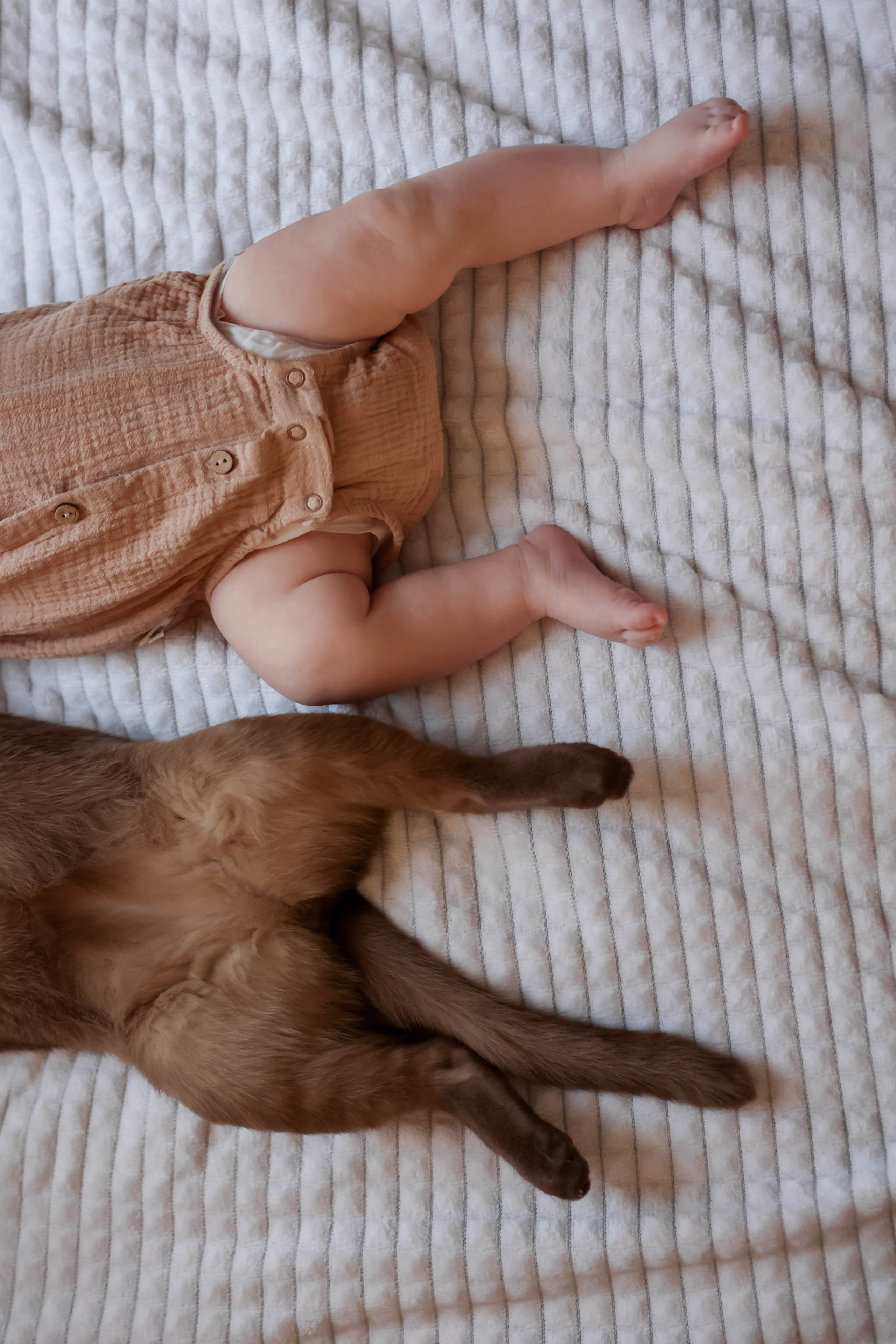 Тимоша. Наталья Косьянова. Ваш фотограф. Москва