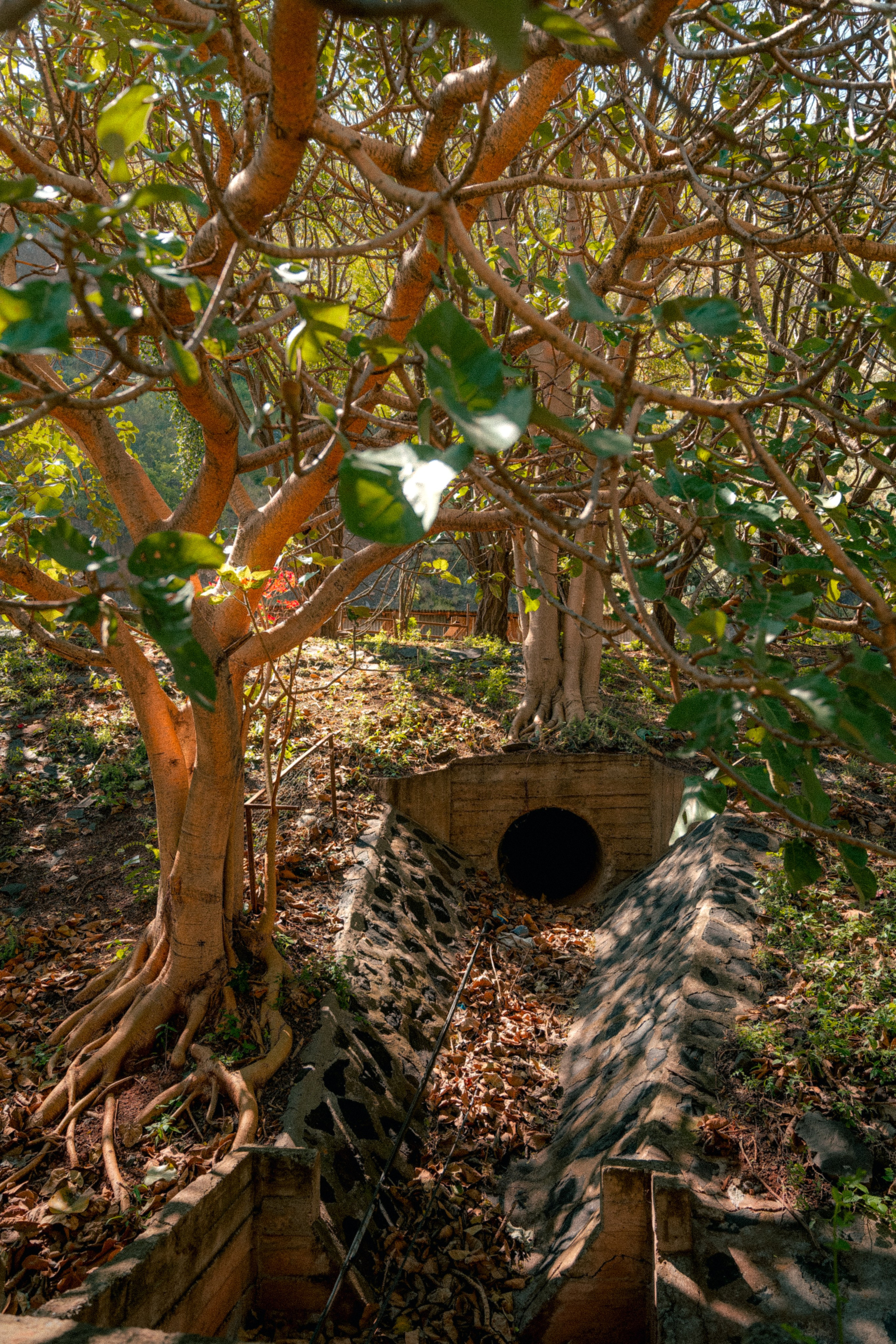 Плато жизни: Эфиопское нагорье. Юля Дэй • Фотограф, Санкт-Петербург
