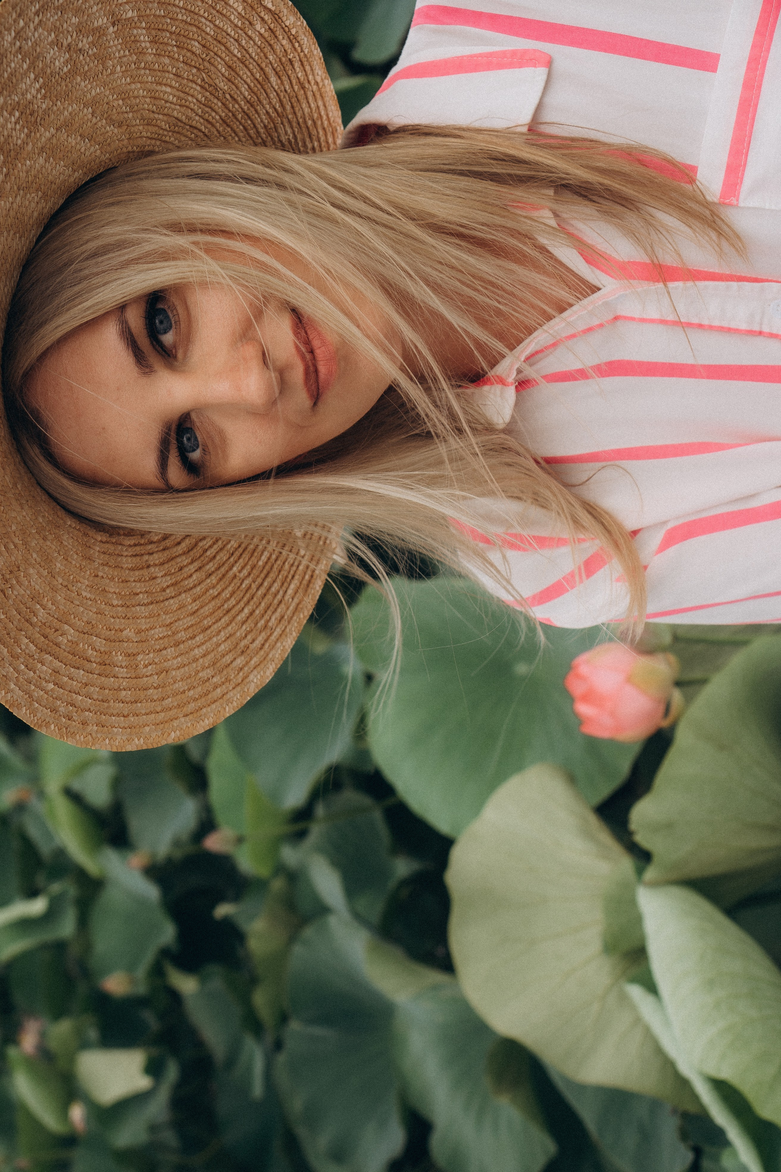 ЛОТОСОВАЯ ПОЛЯНА. Профессиональный фотограф, Санкт-Петербург — Виктория Богомолова