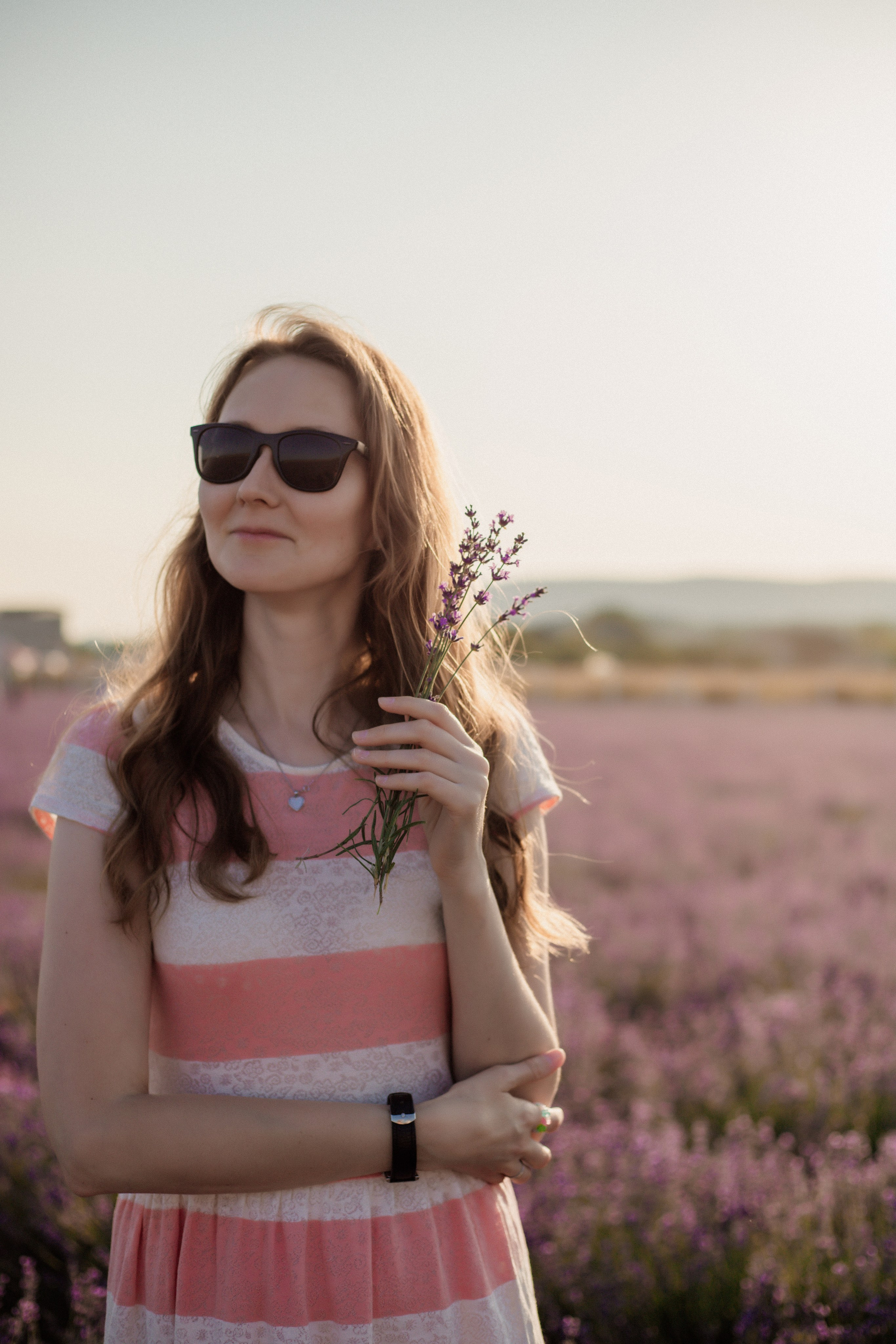 Лаванда. Фотограф и Видеограф Севастополь Крым