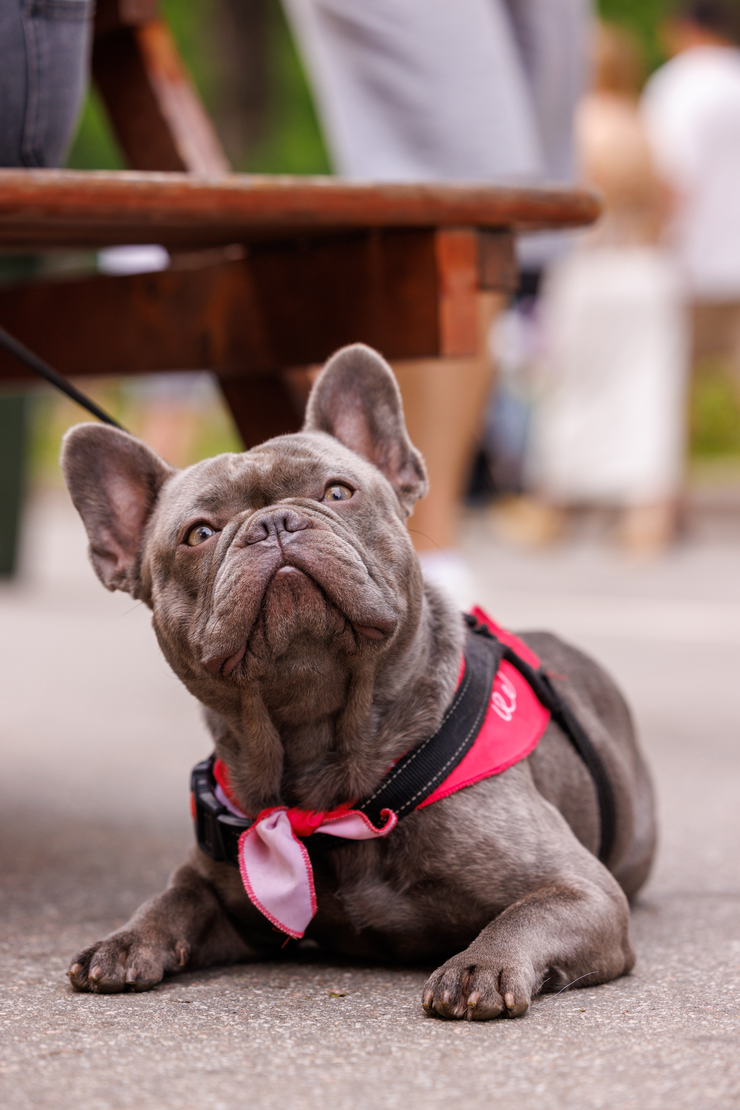 PetShopDays2026. Фотограф Александр Заломаев
