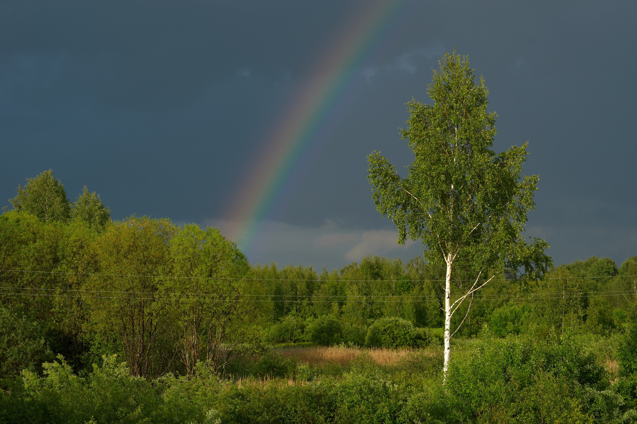 ПРИРОДА ПУТЕШЕСТВИЯ. Www.apowerstudio.com