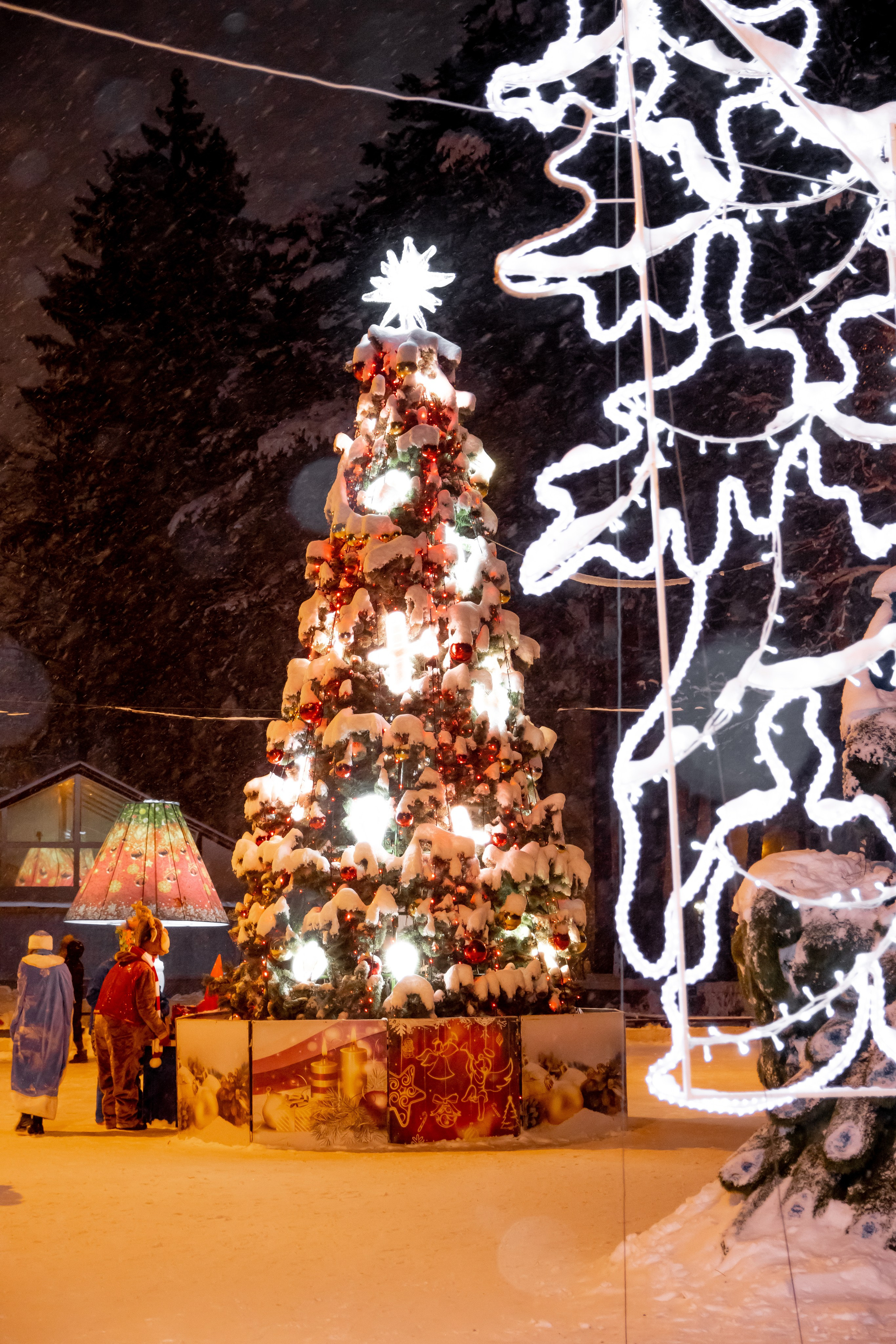 Городской парк. ФОТКИ! Экспресс-фотосессии в Обнинске