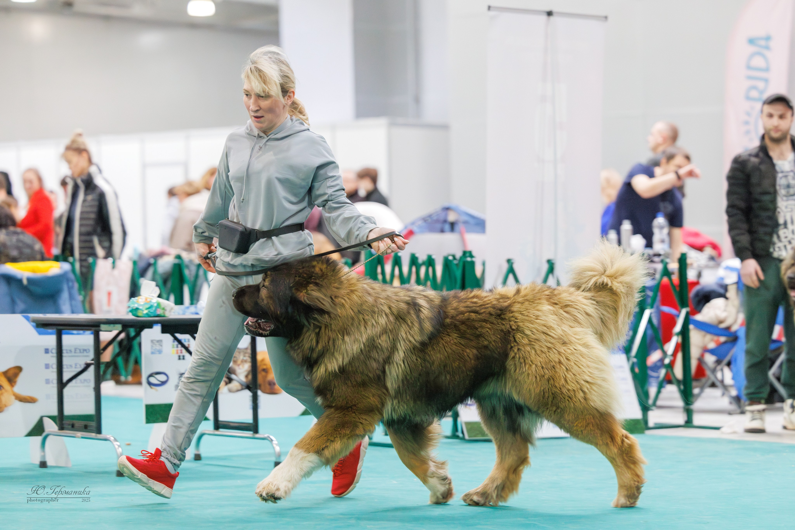 Гран-При 8.02.2025 и Крокус 09.02.2025. Фотограф-анималист Юлия Германика