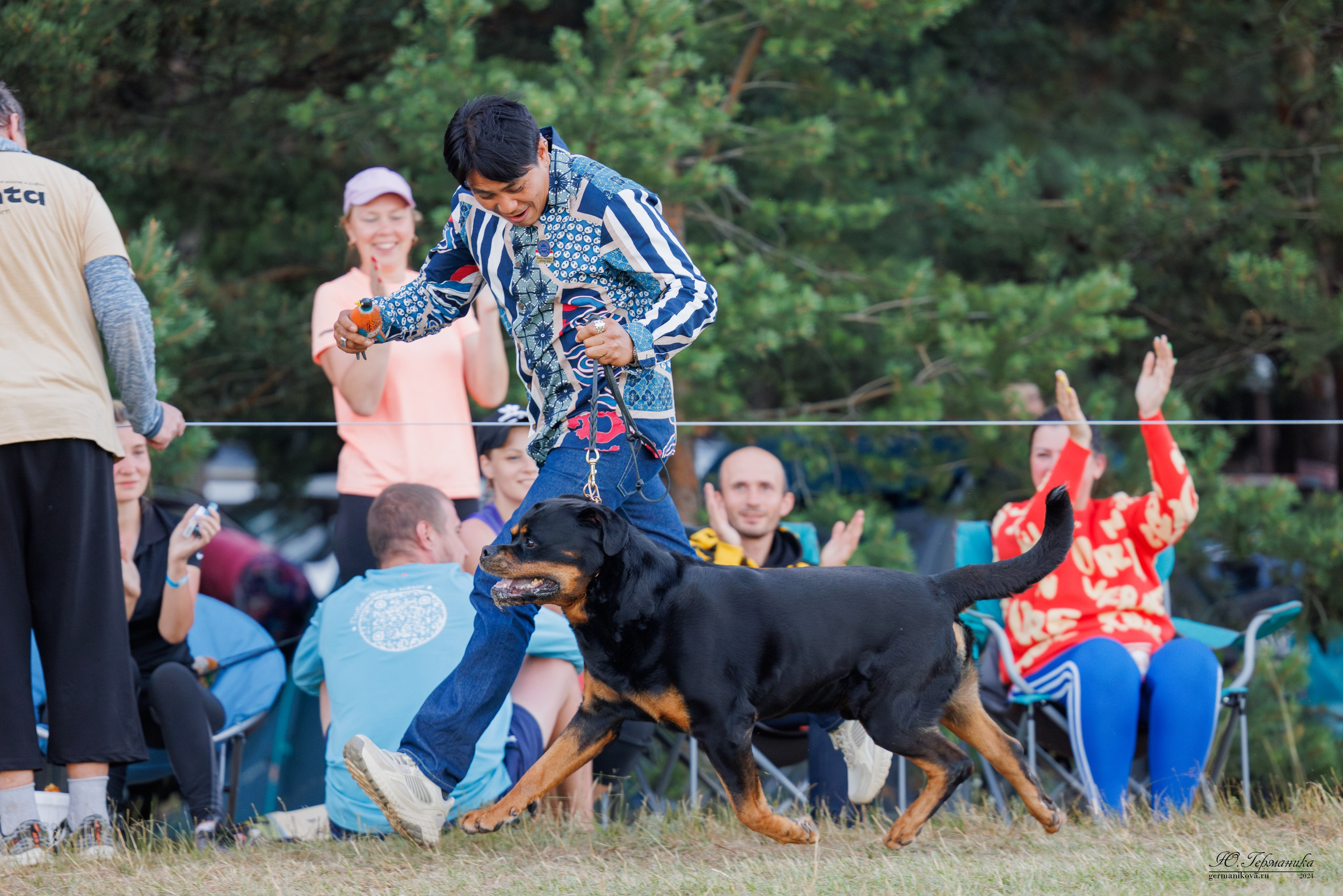 ПК и КЧК ротвейлеры Тверь 6-7.07.2024. Фотограф-анималист Юлия Германика
