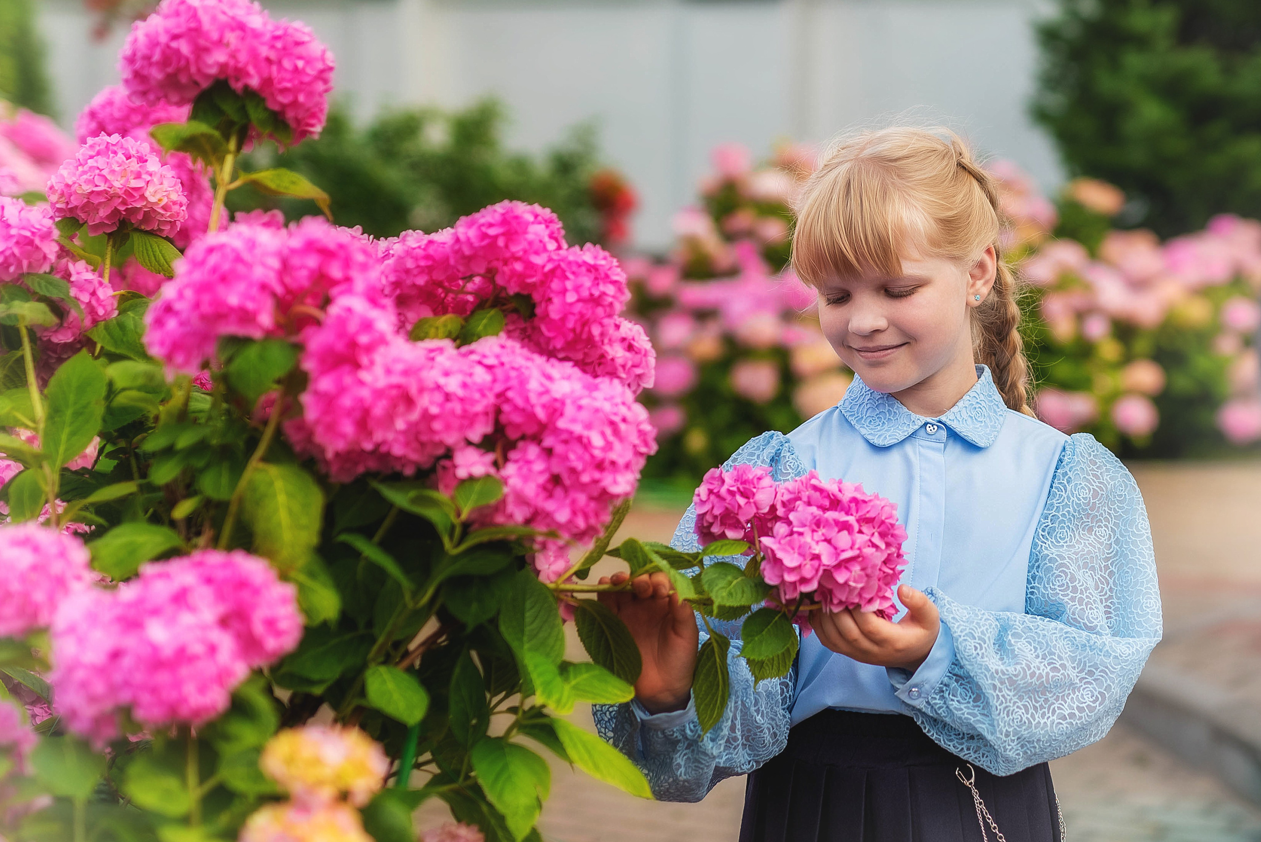 Фотосессия в розовых гортензиях. Семейный, детский фотограф в Воронеже Анна Никитина
