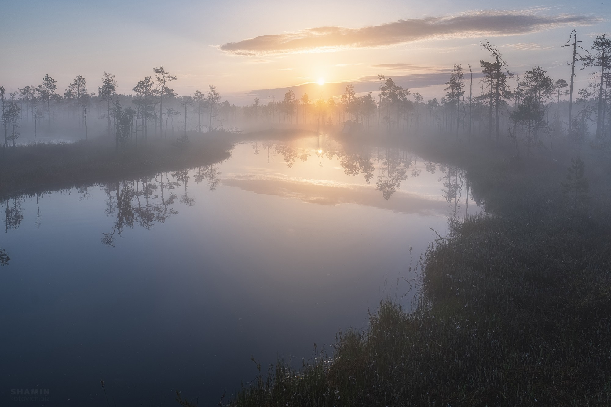 Пейзажи Ленинградской области — озёра, болота, побережье Финского залива, леса и рассветы Северо-Запада России. Природа и свет Ленинградской области. Фотограф Константин Шамин